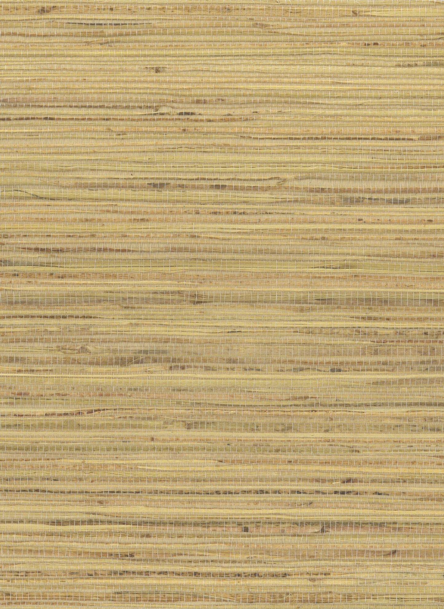 NICHOLASJOHN INC. Natural - Textured Wallcoverings HEMP - NJ25NH1054