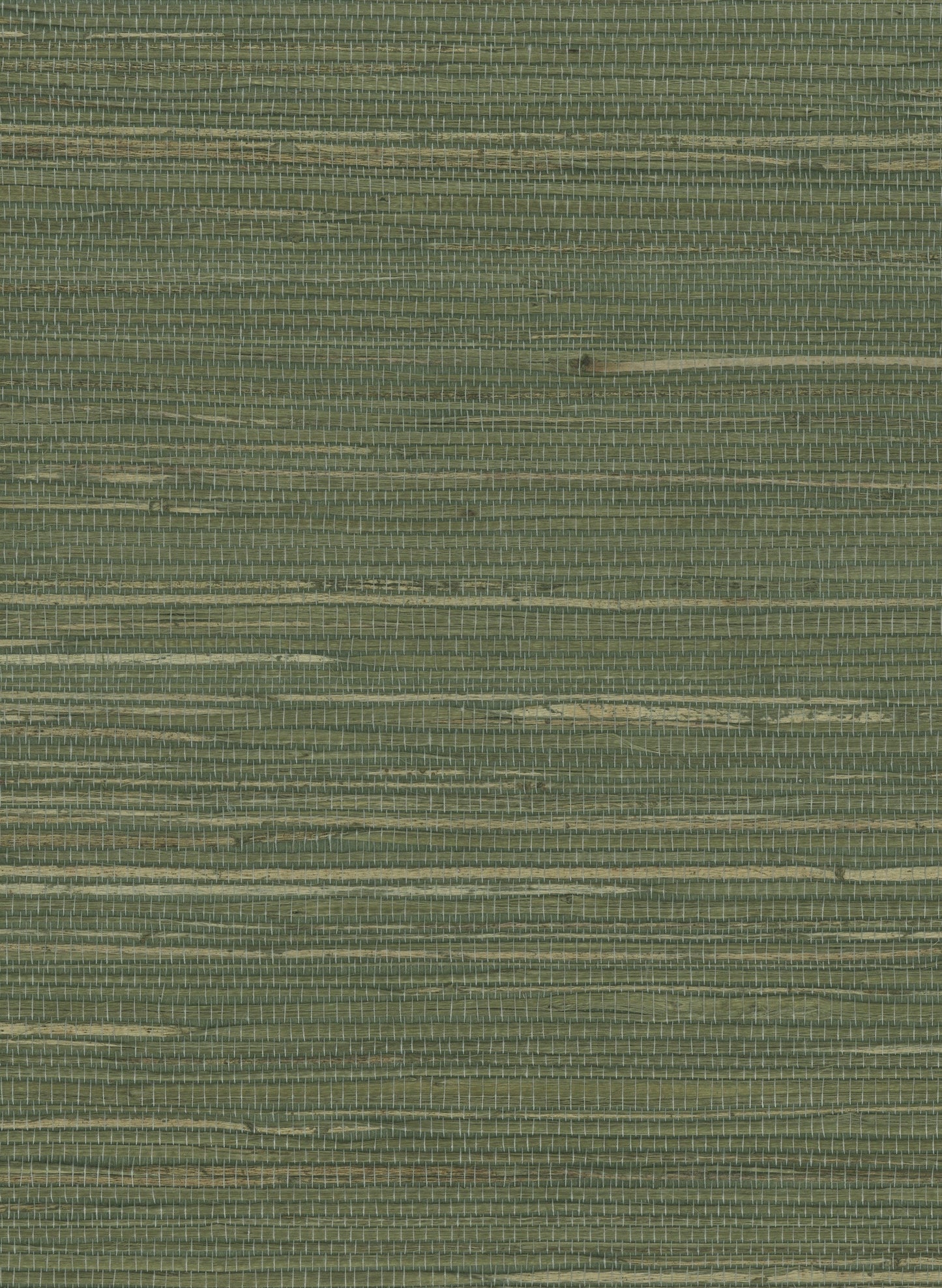 Olive green woven rug with subtle beige horizontal stripes, natural fiber texture, rustic casual style.