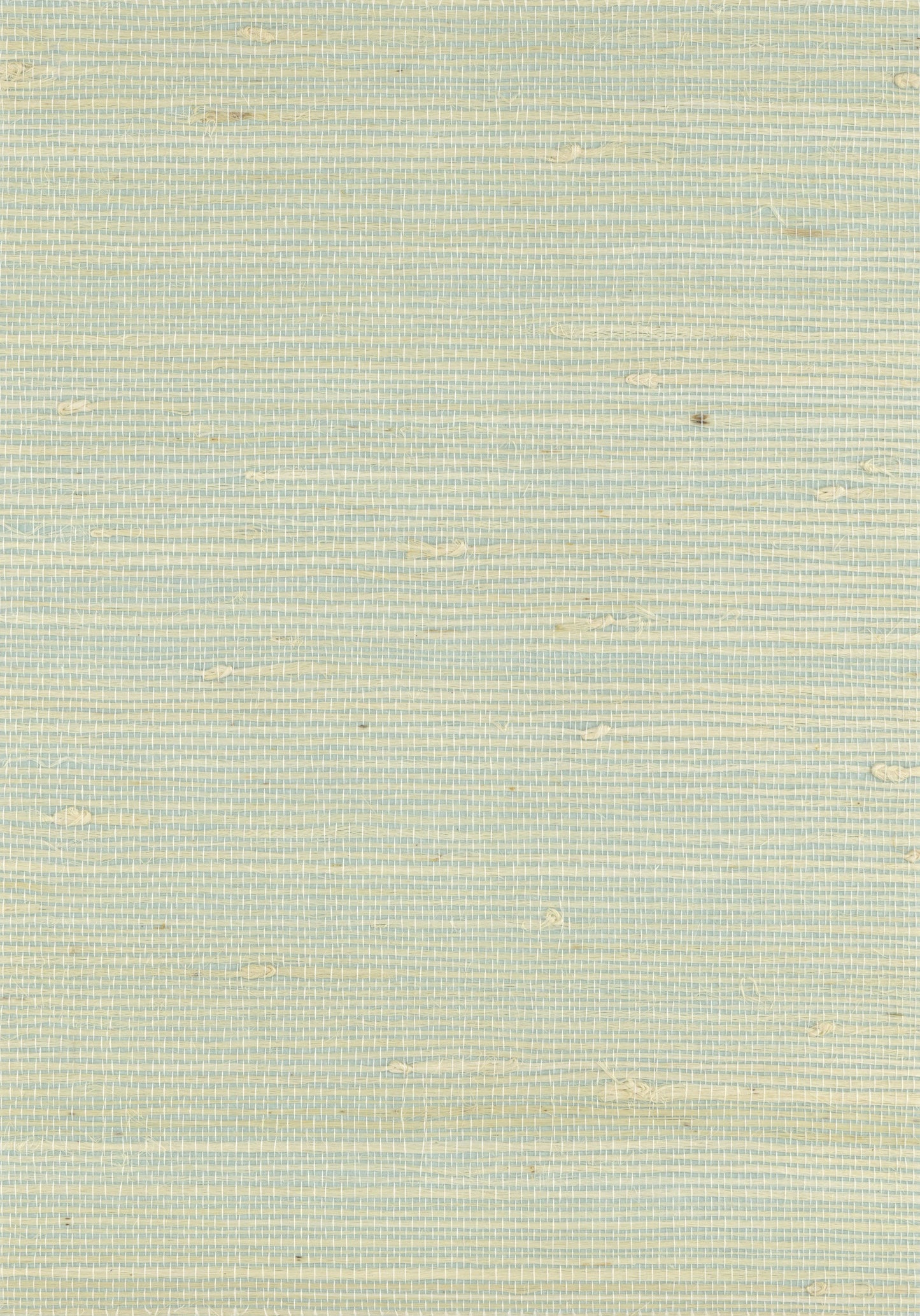 NICHOLASJOHN INC. Natural - Textured Wallcoverings JUTE - NJ25NH2116