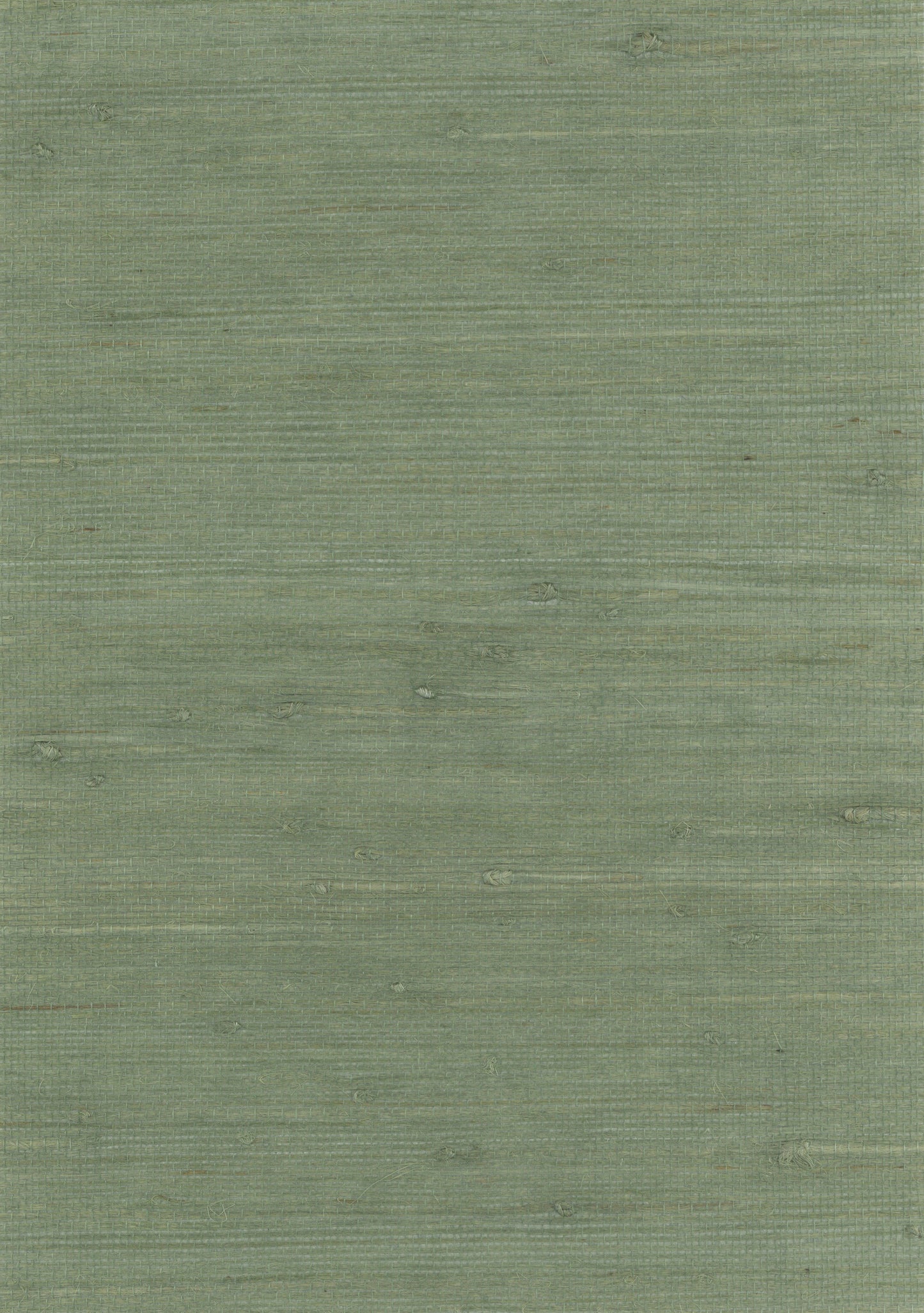 NICHOLASJOHN INC. Natural - Textured Wallcoverings JUTE - NJ25NH2122