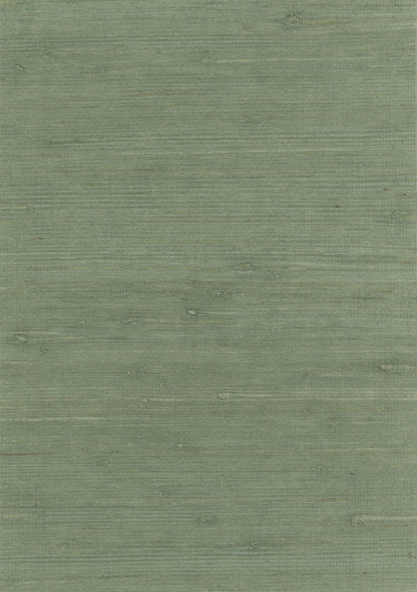 Sage green textured surface with subtle horizontal grain; wood-like or linen-inspired finish.