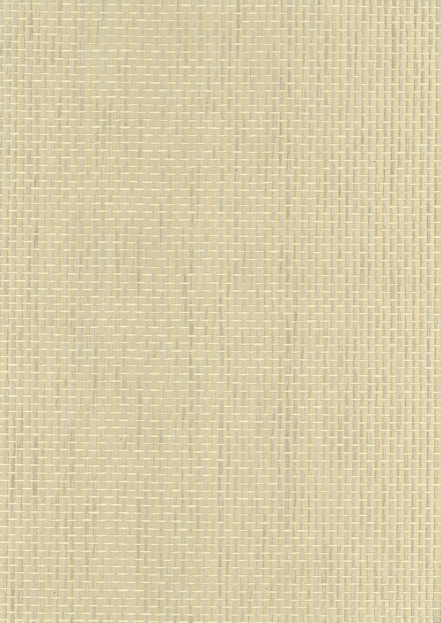NICHOLASJOHN INC. Natural - Textured Wallcoverings PAPER WEAVE - NJ25NP027