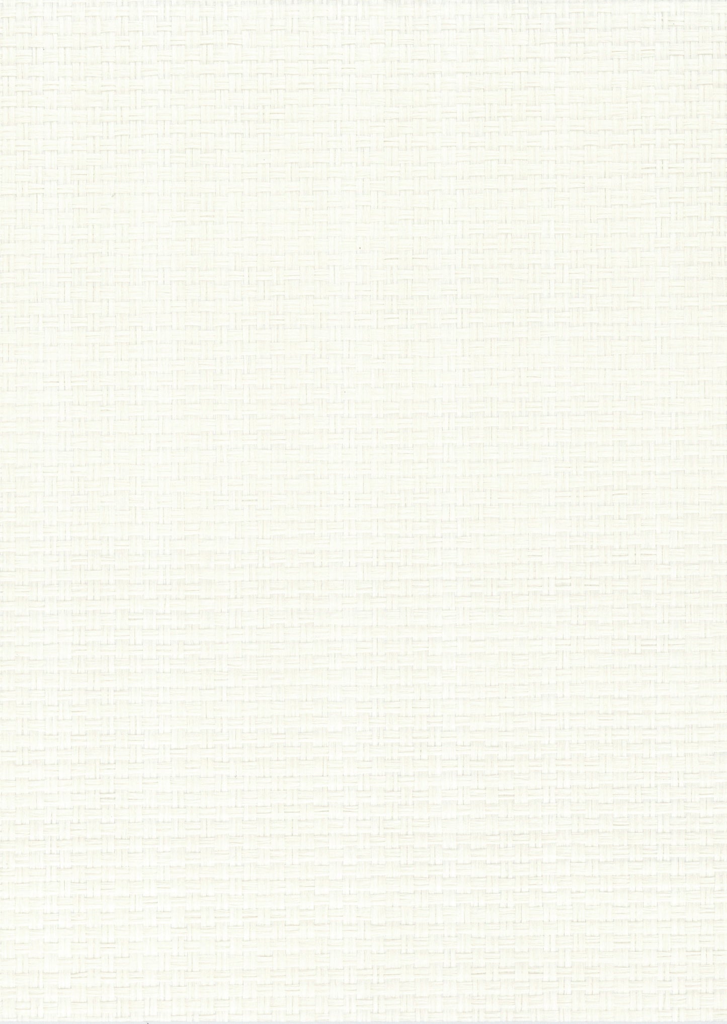 NICHOLASJOHN INC. Natural - Textured Wallcoverings PAPER WEAVE - NJ25NP1001