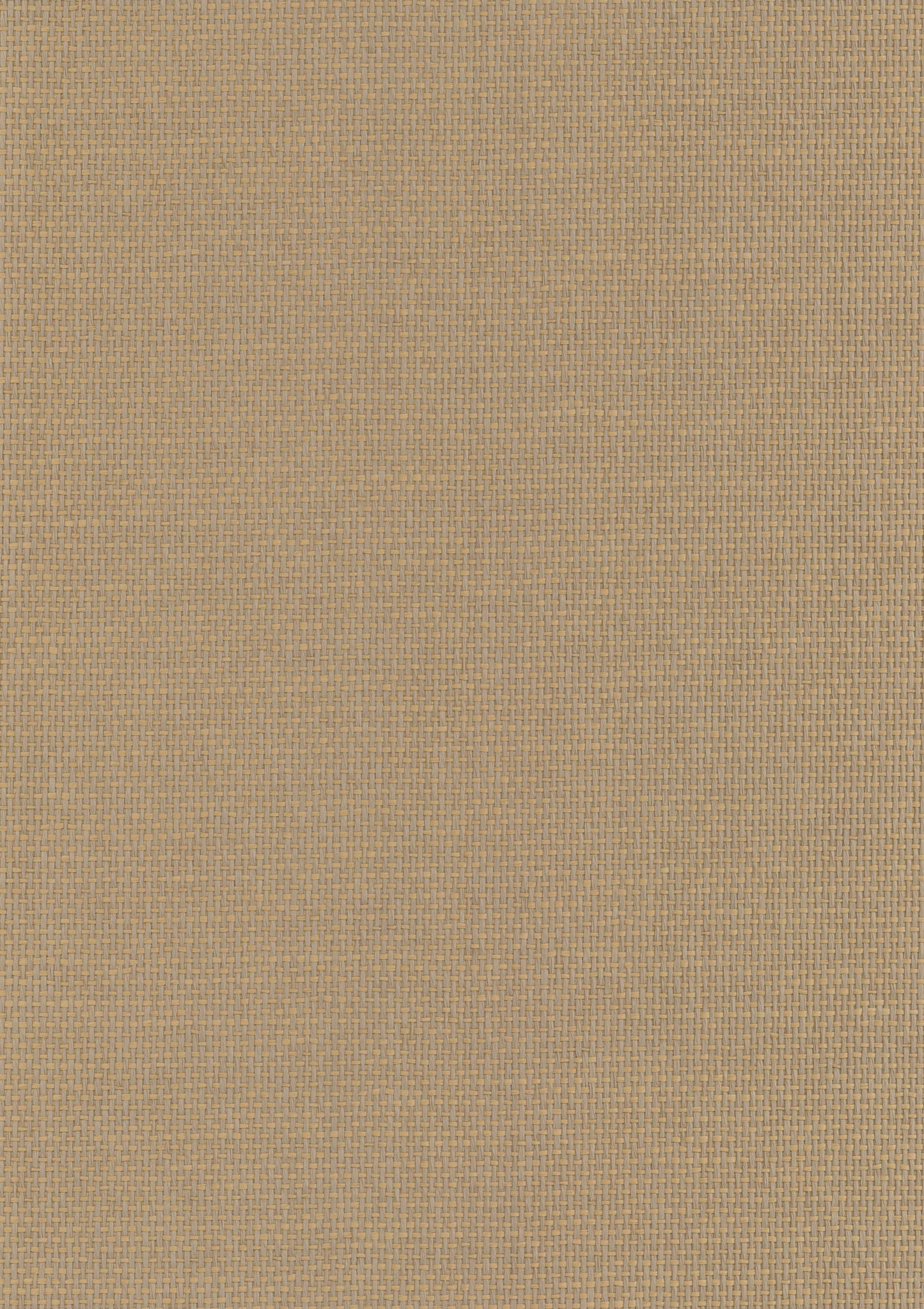 NICHOLASJOHN INC. Natural - Textured Wallcoverings PAPER WEAVE - NJ25NP6004