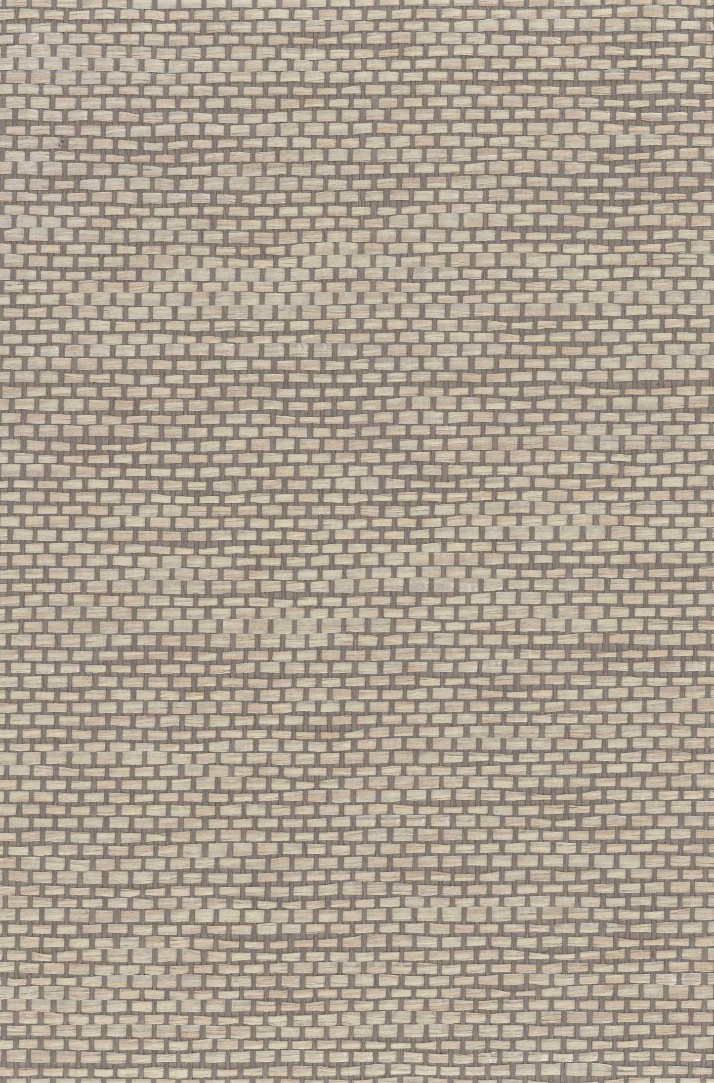 NICHOLASJOHN INC. Natural - Textured Wallcoverings 100% Paper Weave - NJ25NP6107