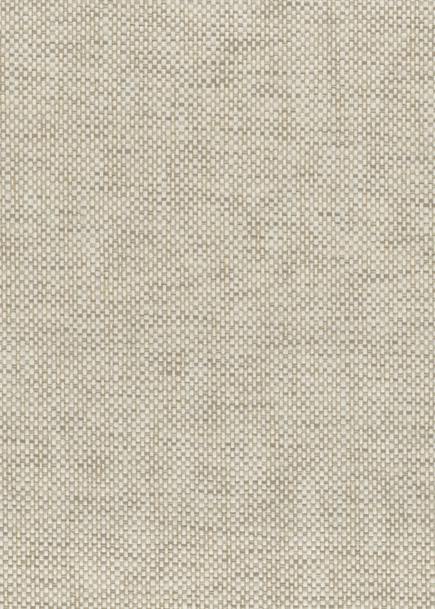 NICHOLASJOHN INC. Natural - Textured Wallcoverings PAPER WEAVE - NJ25NP6110