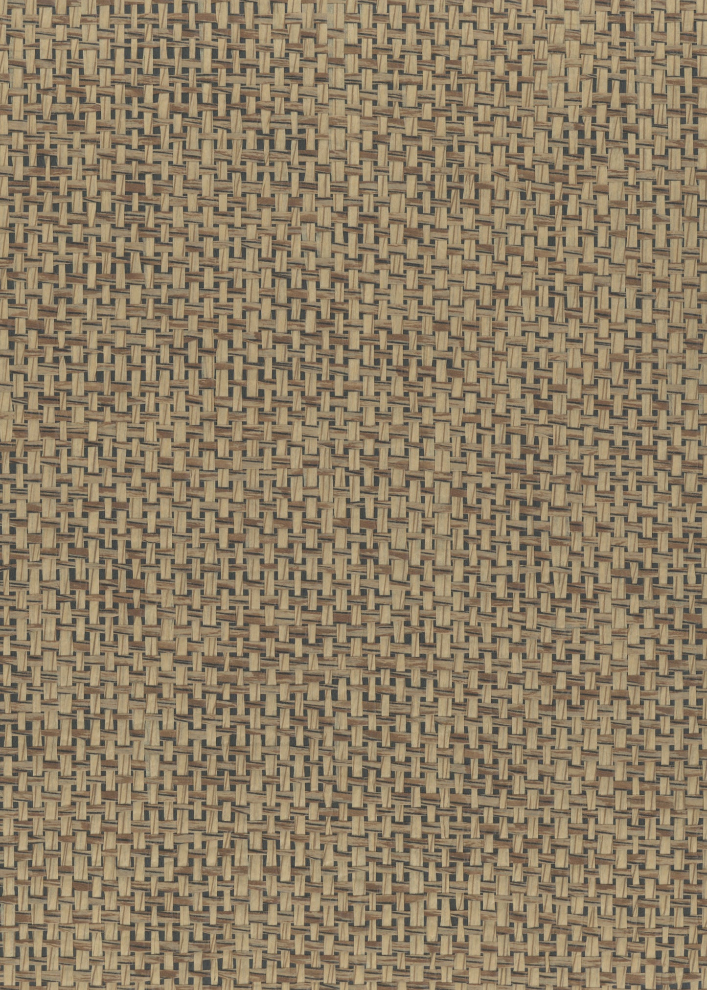 NICHOLASJOHN INC. Natural - Textured Wallcoverings PAPER WEAVE - NJ25NP6158