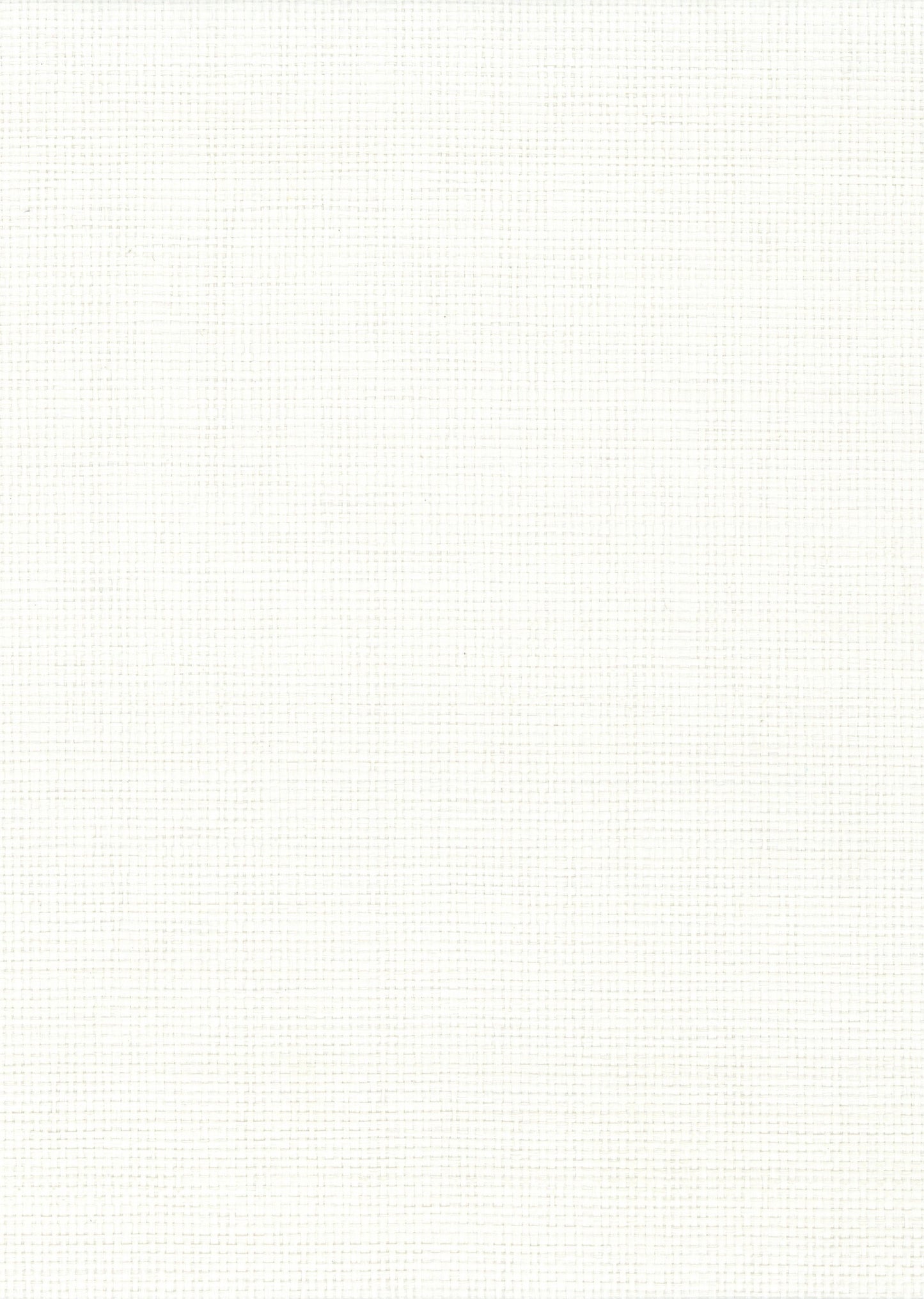 NICHOLASJOHN INC. Natural - Textured Wallcoverings Paper Weave - NJ25NP6167