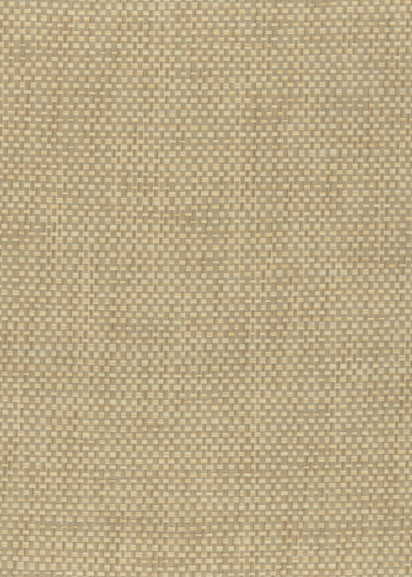 NICHOLASJOHN INC. Natural - Textured Wallcoverings PAPER WEAVE - NJ25NP6284