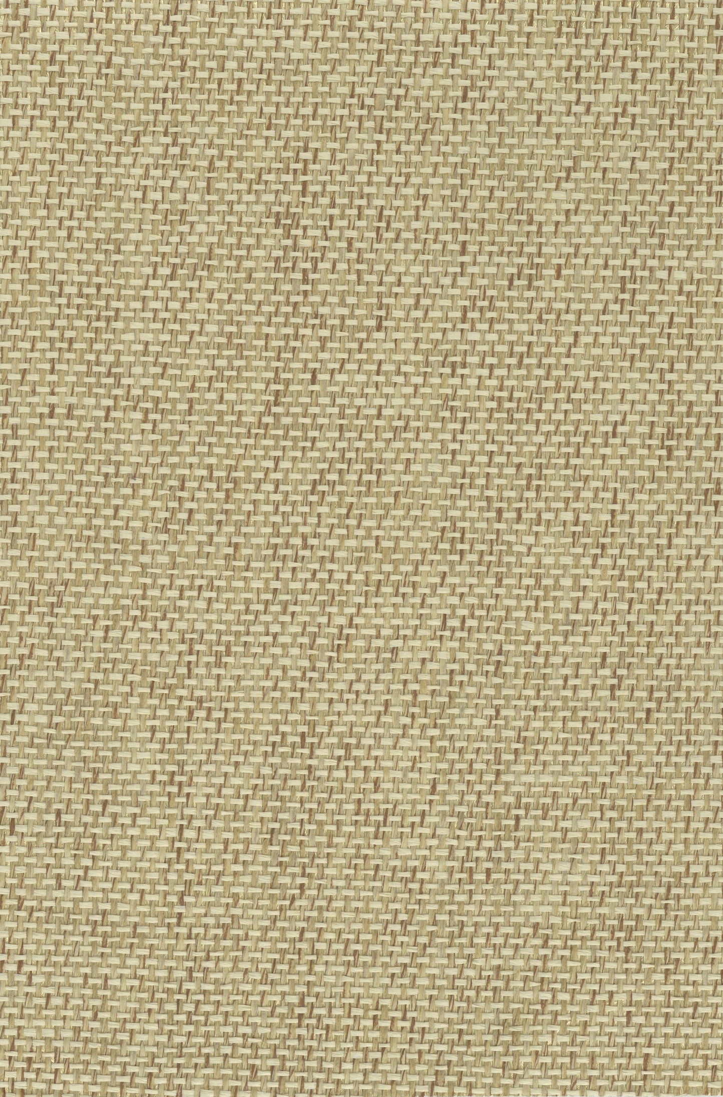 NICHOLASJOHN INC. Natural - Textured Wallcoverings PAPER WEAVE - NJ25NP6501