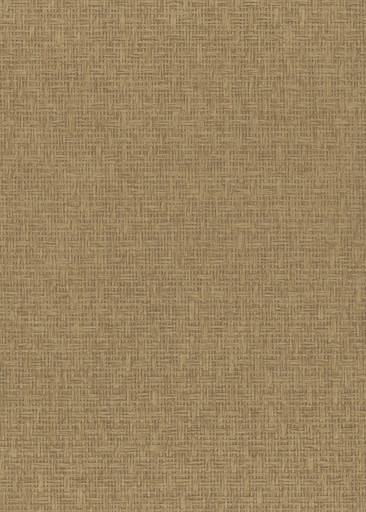 NICHOLASJOHN INC. Natural - Textured Wallcoverings PAPER WEAVE - NJ25NP6606