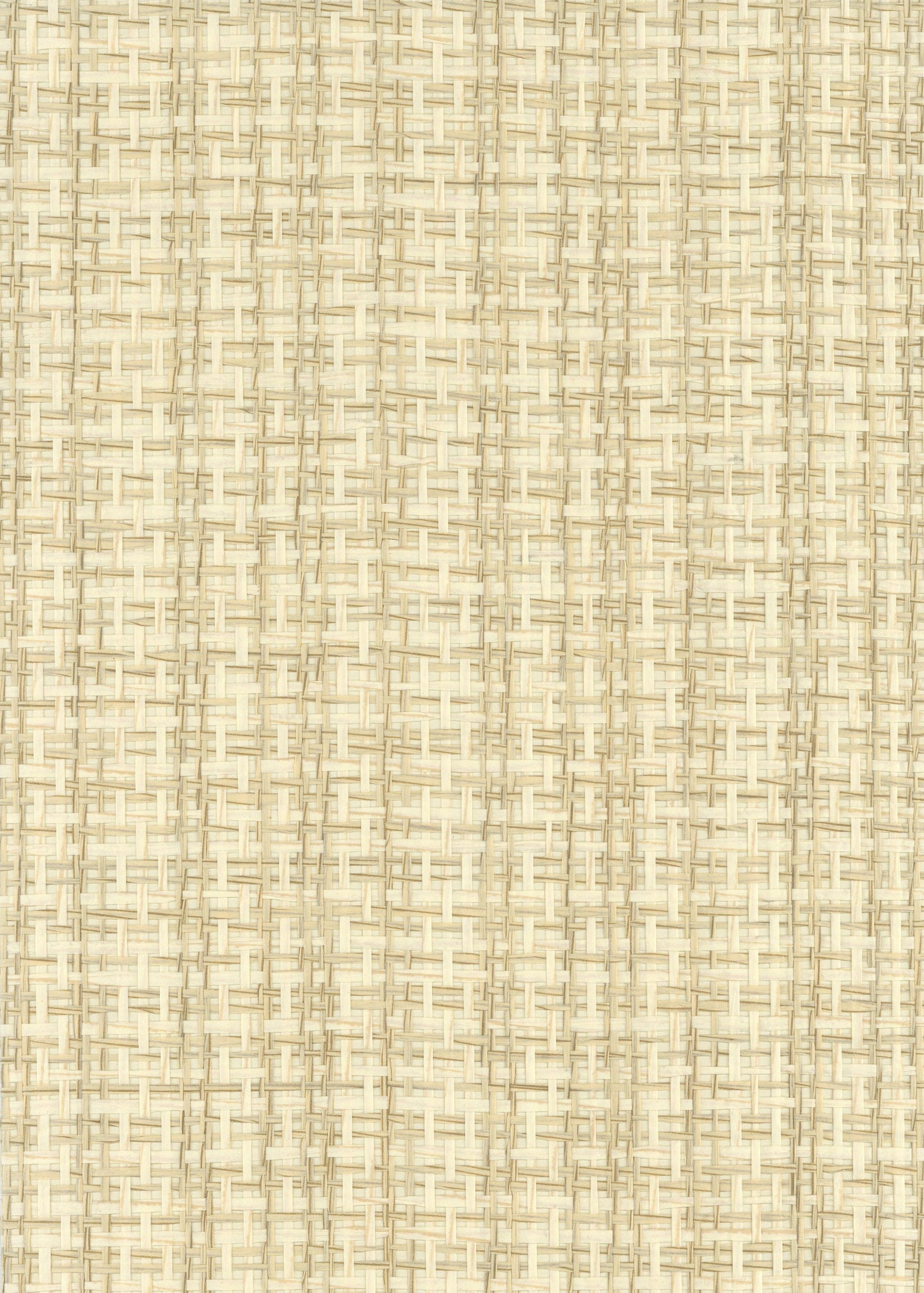 NICHOLASJOHN INC. Natural - Textured Wallcoverings PAPER WEAVE - NJ25NP6688