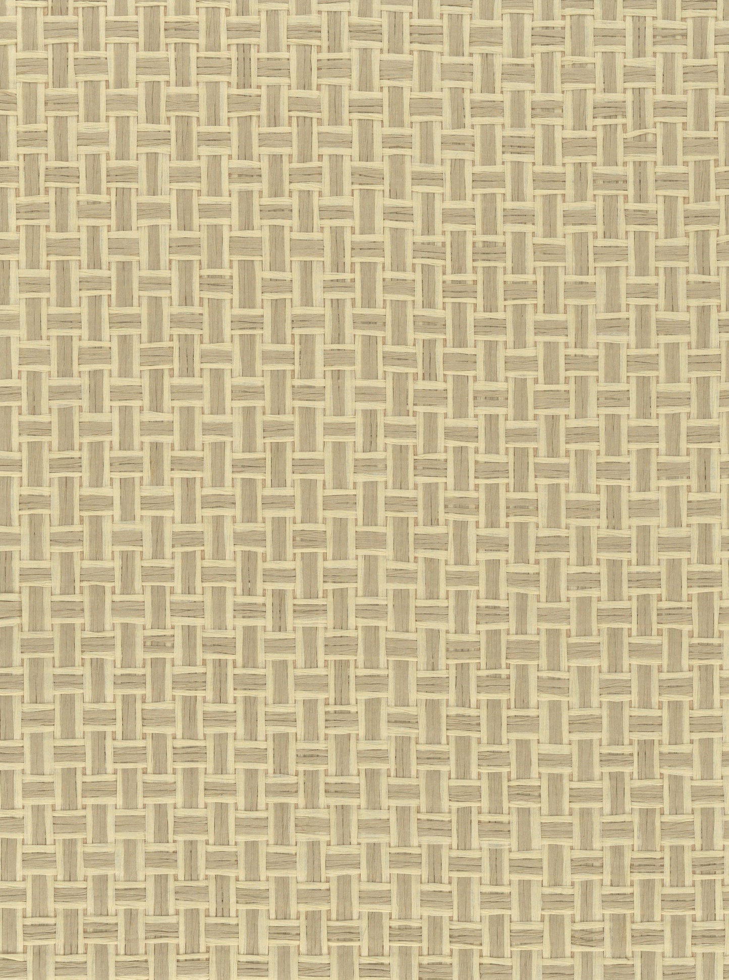 NICHOLASJOHN INC. Natural - Textured Wallcoverings PAPER WEAVE - NJ25NP6695