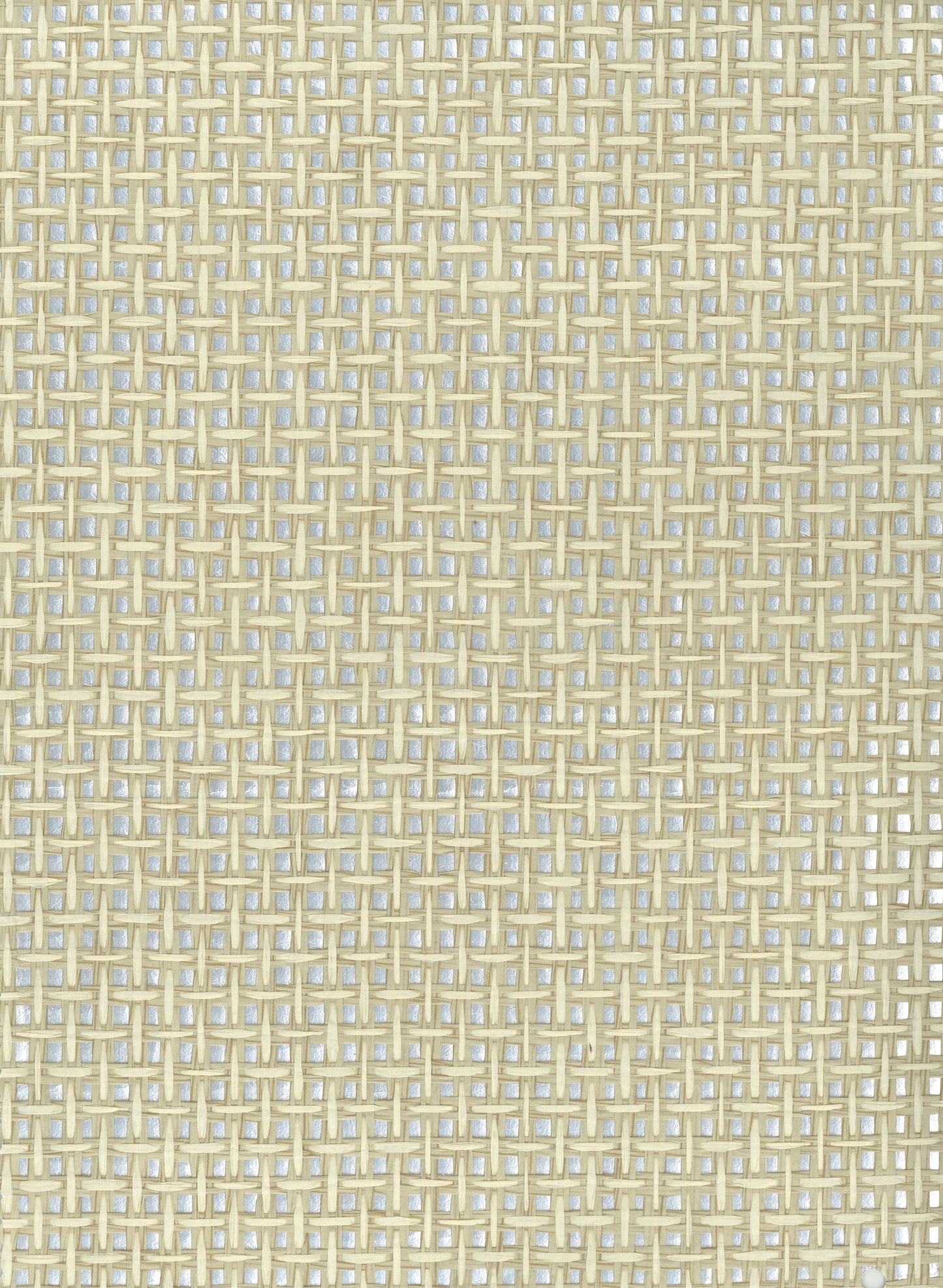 NICHOLASJOHN INC. Natural - Textured Wallcoverings PAPER WEAVE - NJ25NP6850