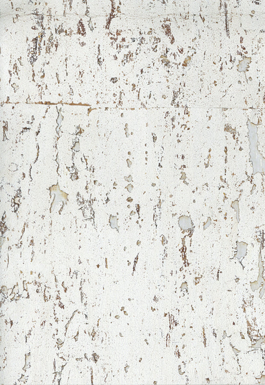 NICHOLASJOHN INC. Natural - Textured Wallcoverings CORK - NJ25NQ8310