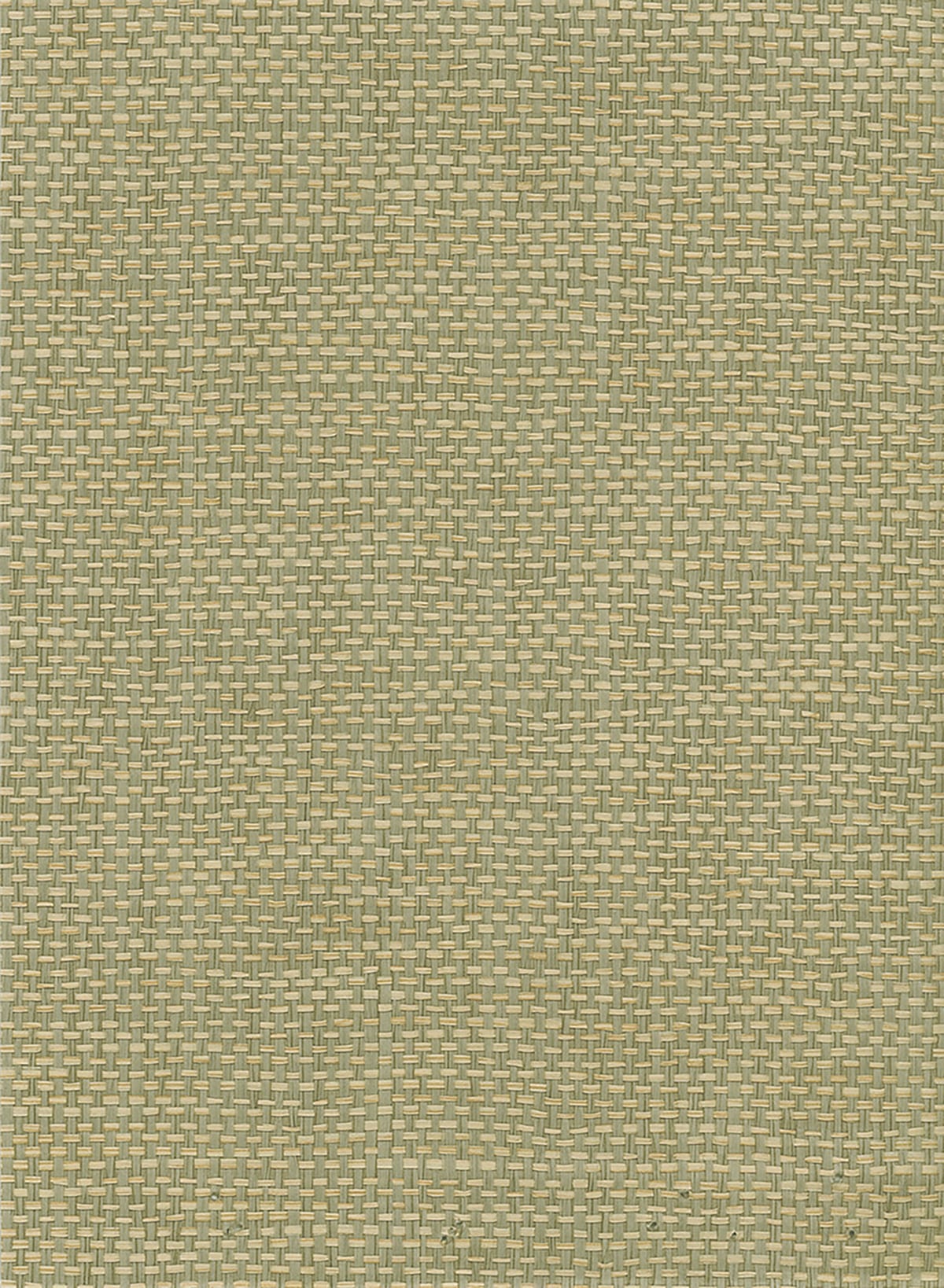 Seabrook Designs Natural Resource Paperweave Grasscloth Contemporary Green Matte - NR107X