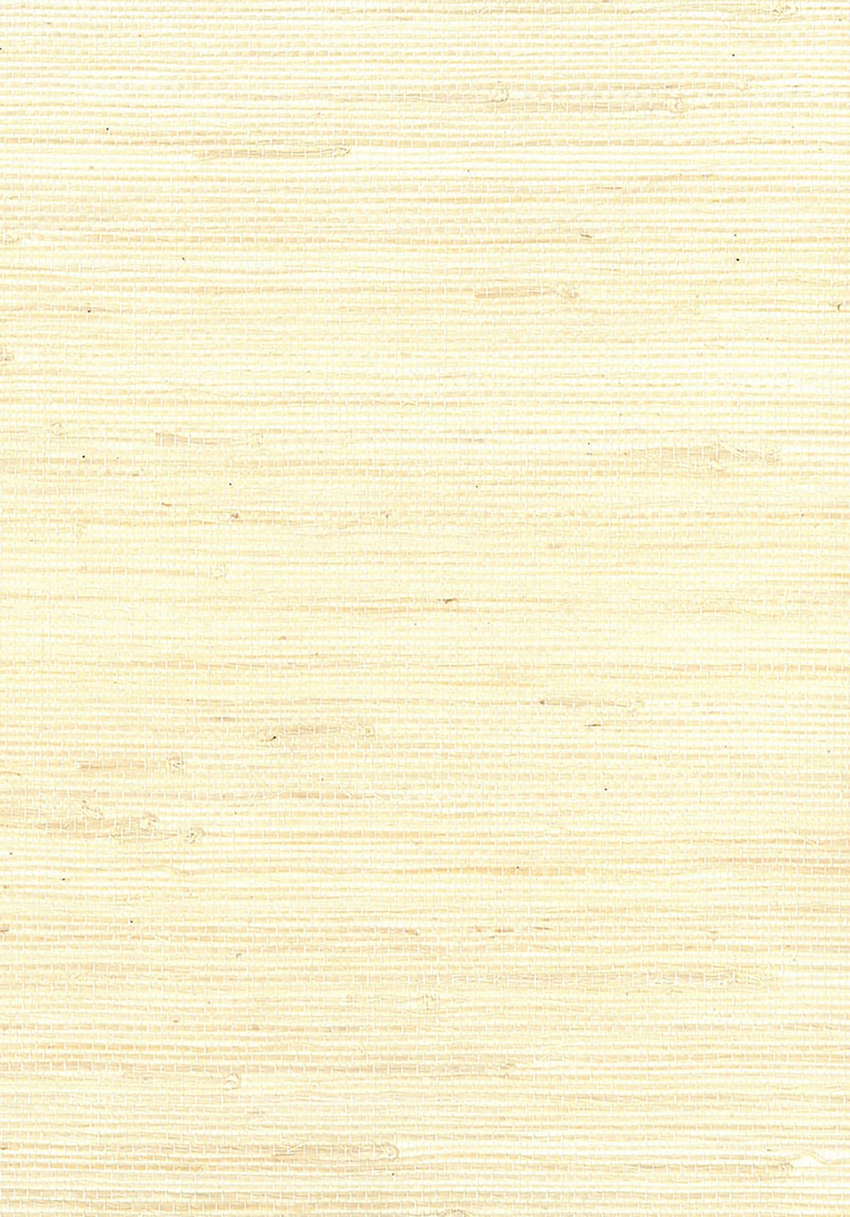 Seabrook Designs Natural Resource Jute Grasscloth Contemporary Off-White Matte - NR131X