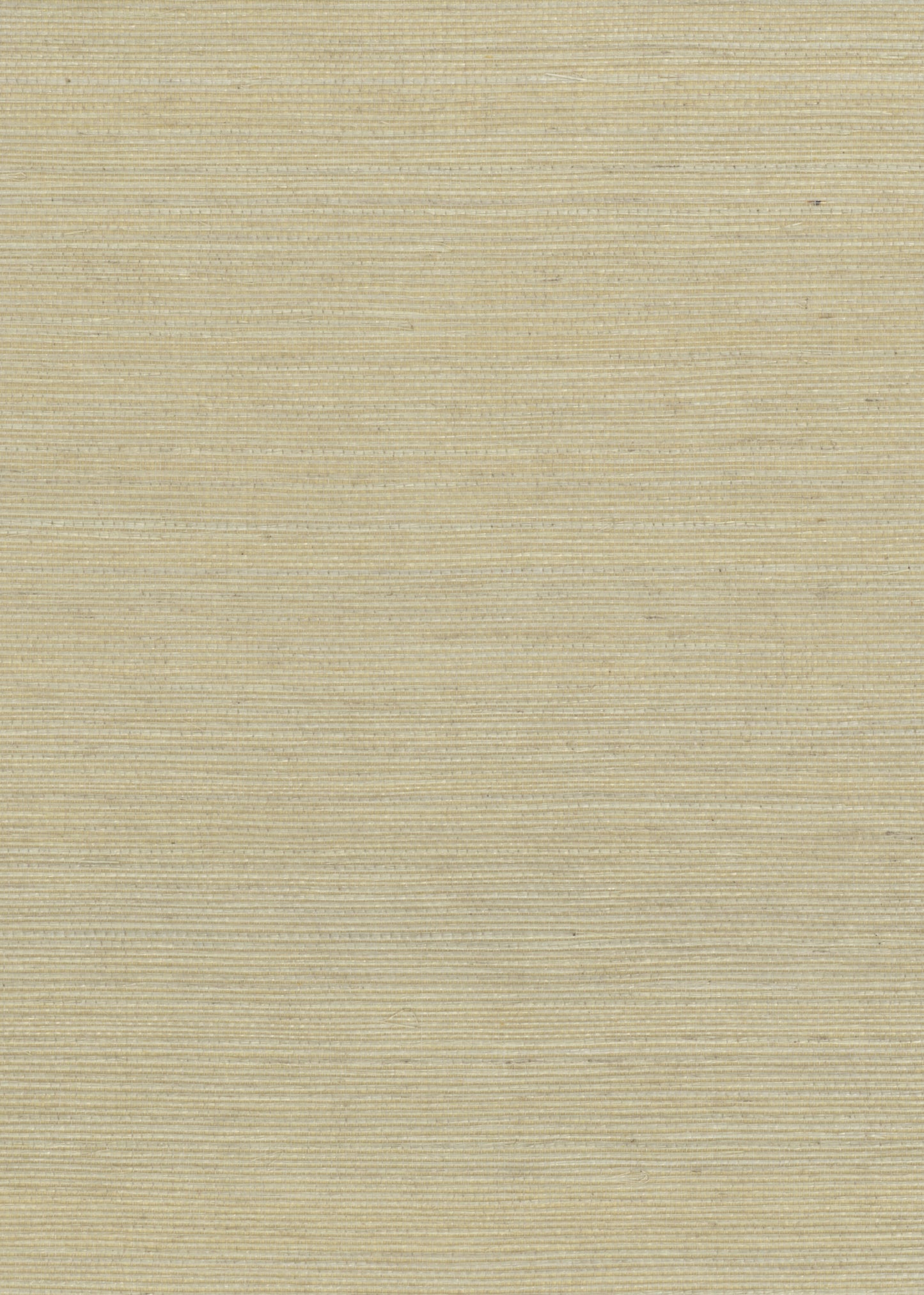NICHOLASJOHN INC. Natural - Textured Wallcoverings 100% Sisal - NJ25NS1013