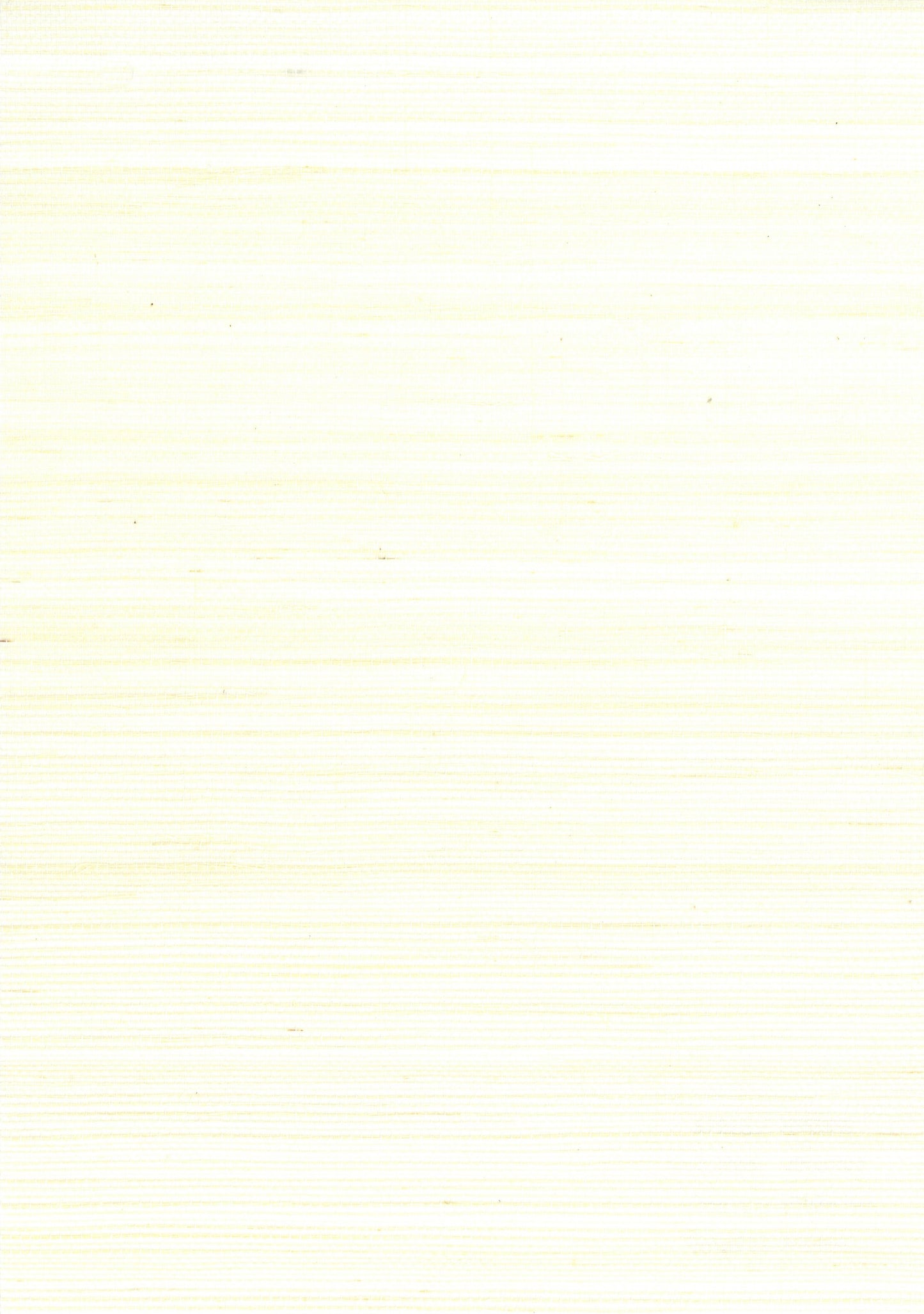 NICHOLASJOHN INC. Natural - Textured Wallcoverings SISAL - NJ25NS1014