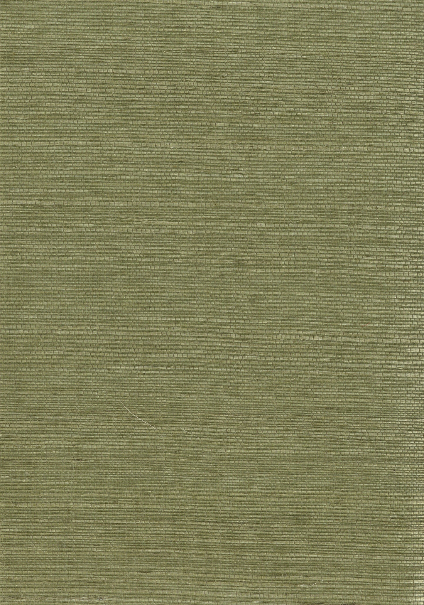 NICHOLASJOHN INC. Natural - Textured Wallcoverings SISAL - NJ25NS1033