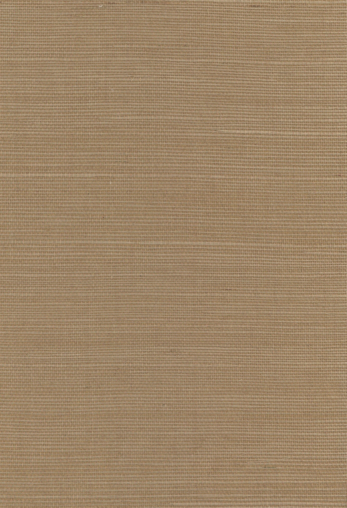 Beige woven fabric texture with fine horizontal threads, swatch-style.