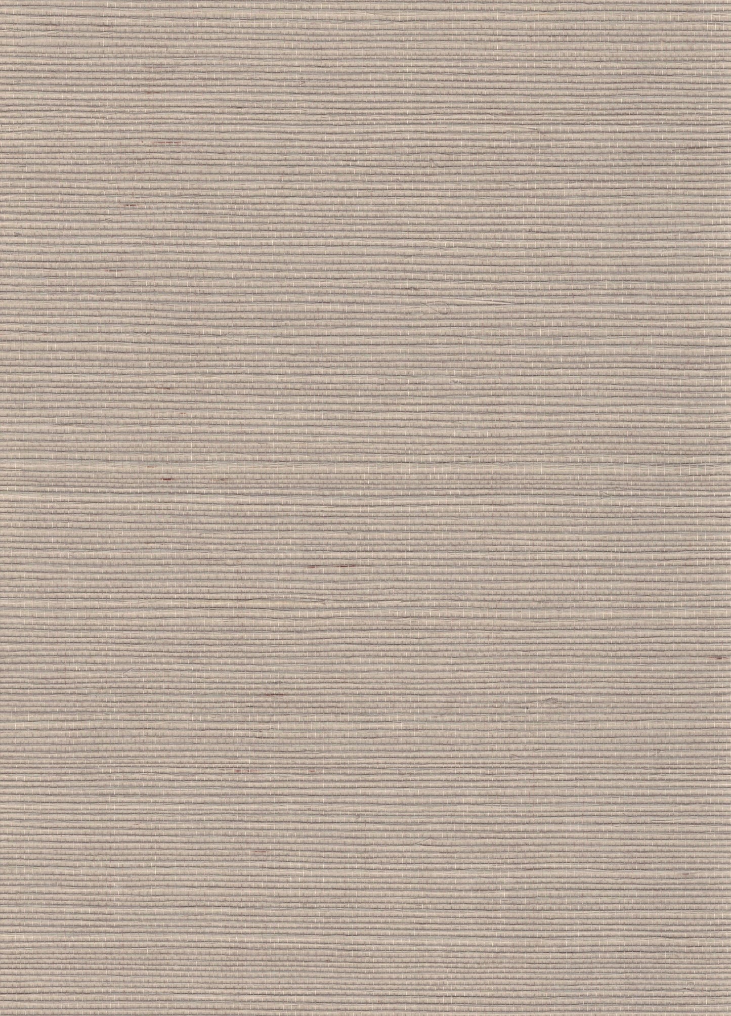 NICHOLASJOHN INC. Natural - Textured Wallcoverings SISAL - NJ25NS1123