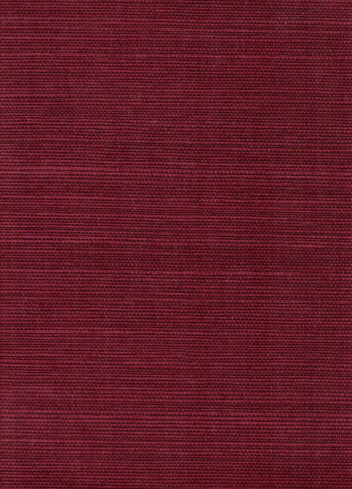 NICHOLASJOHN INC. Natural - Textured Wallcoverings SISAL - NJ25NS1127