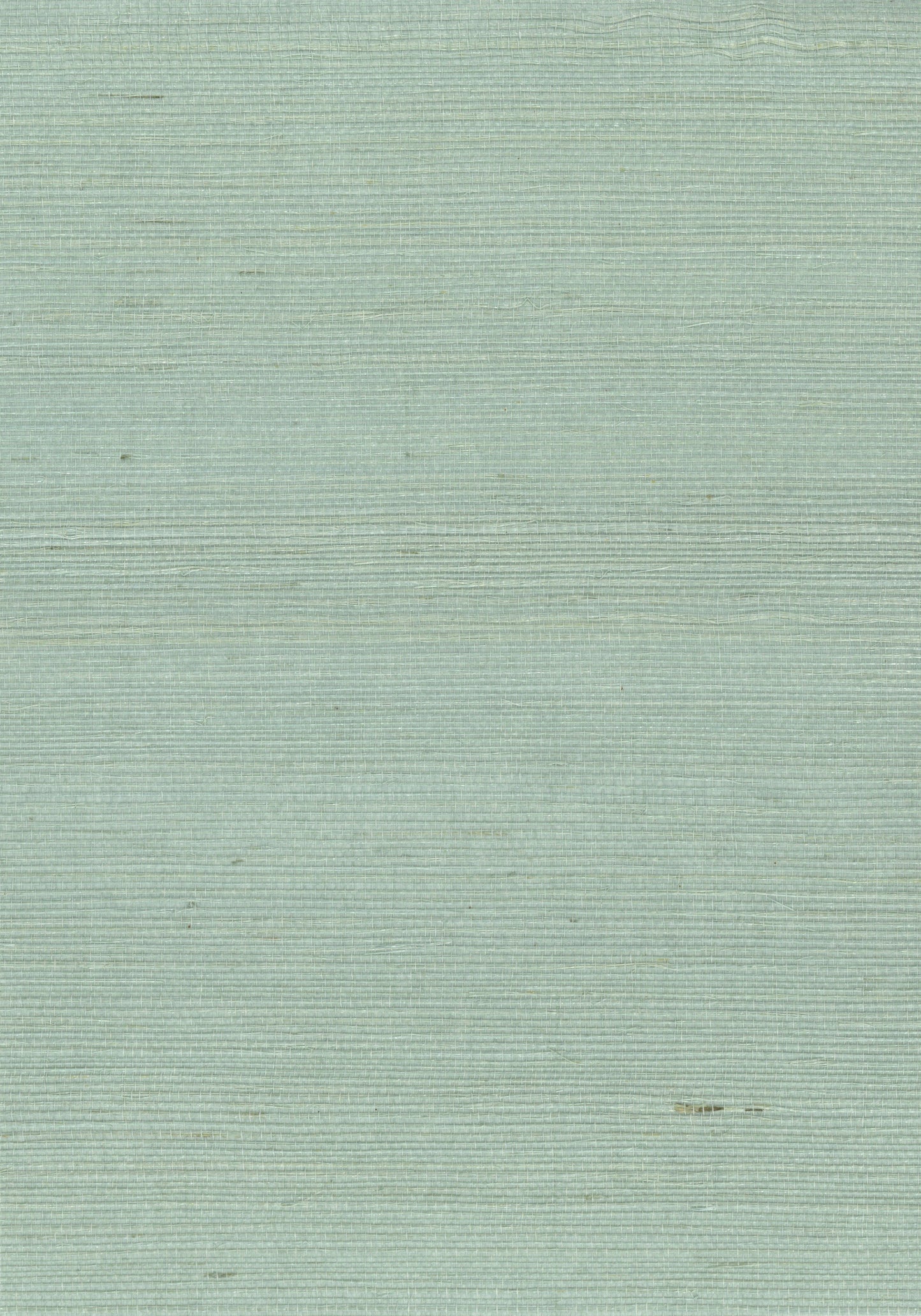 NICHOLASJOHN INC. Natural - Textured Wallcoverings SISAL - NJ25NS1128