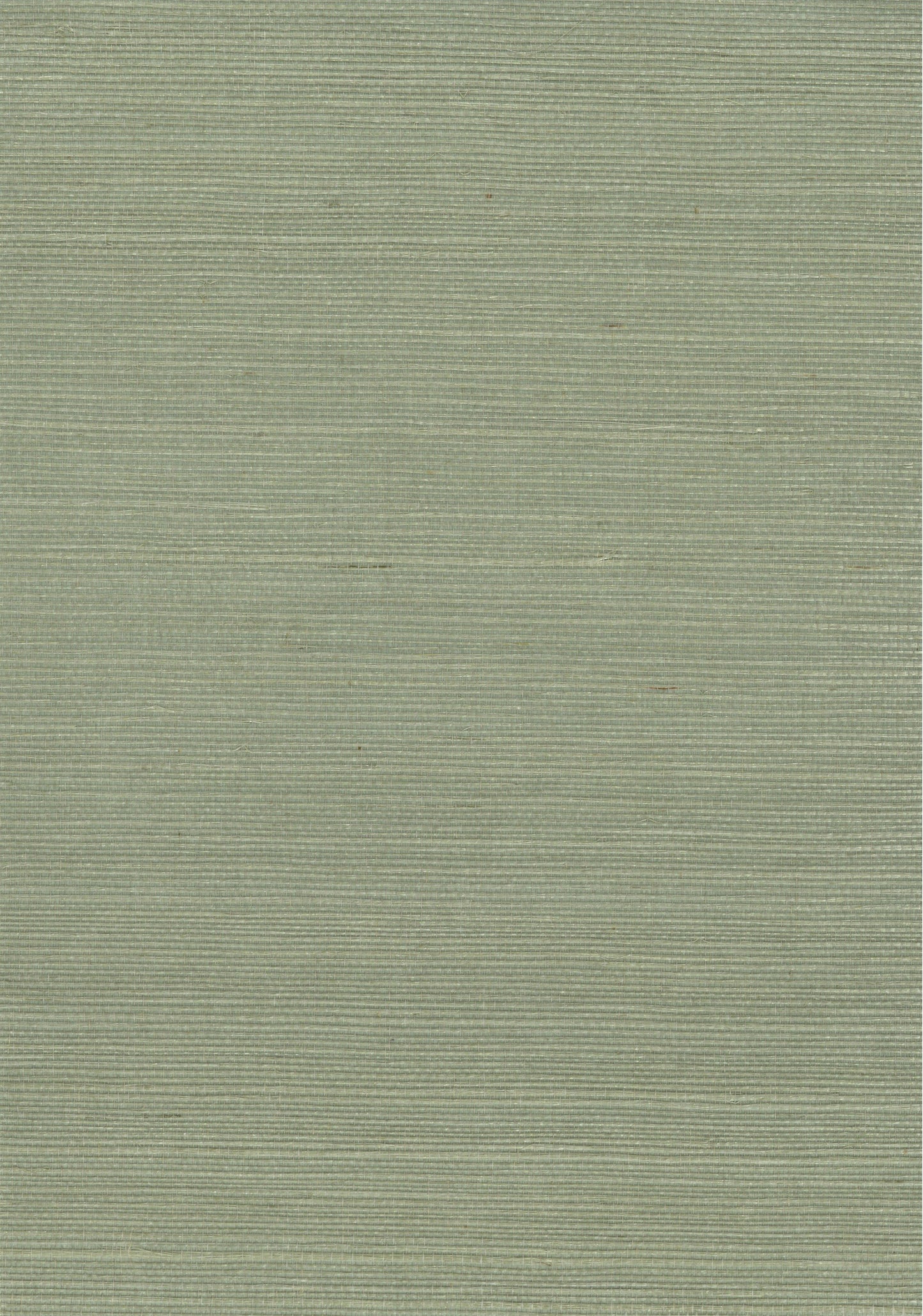 NICHOLASJOHN INC. Natural - Textured Wallcoverings SISAL - NJ25NS1129