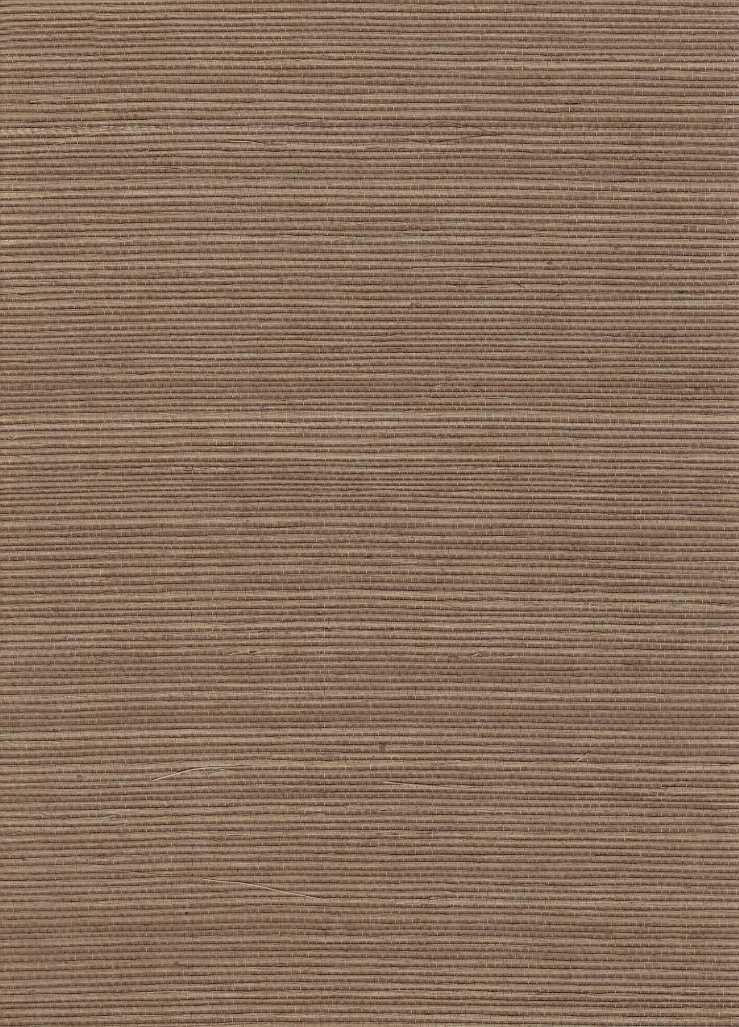 NICHOLASJOHN INC. Natural - Textured Wallcoverings SISAL - NJ25NS1131