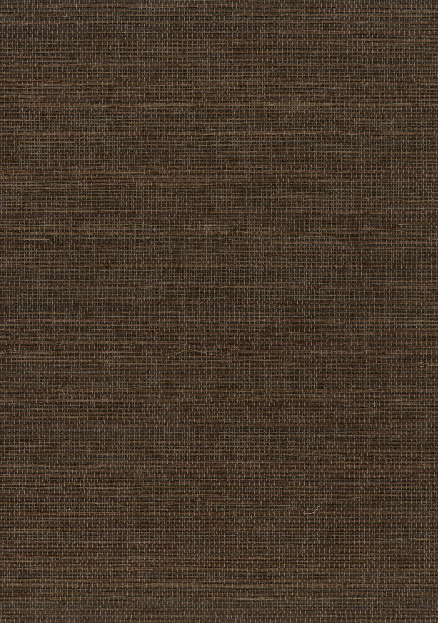 NICHOLASJOHN INC. Natural - Textured Wallcoverings SISAL - NJ25NS1133