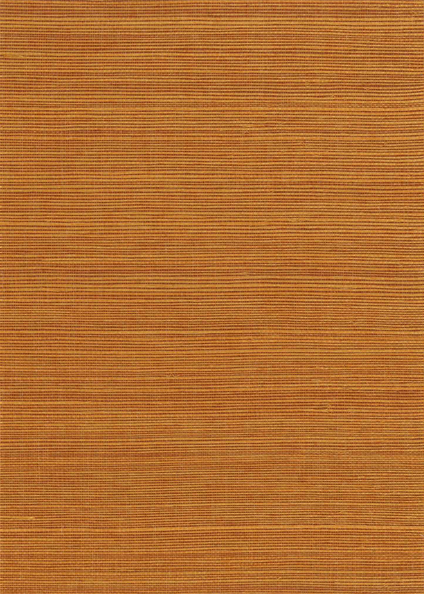 NICHOLASJOHN INC. Natural - Textured Wallcoverings SISAL - NJ25NS1138