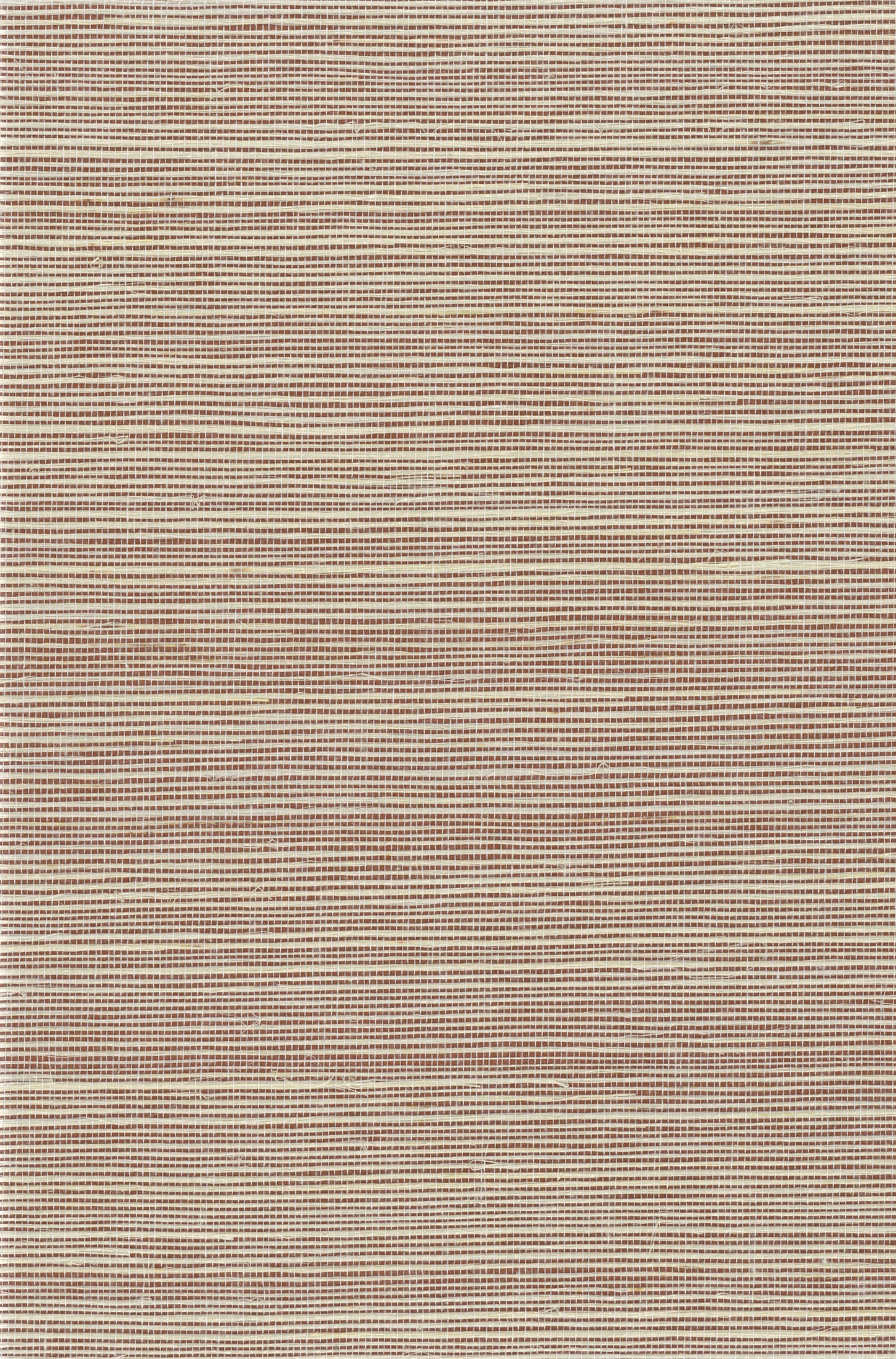 NICHOLASJOHN INC. Natural - Textured Wallcoverings SISAL - NJ25NS1149
