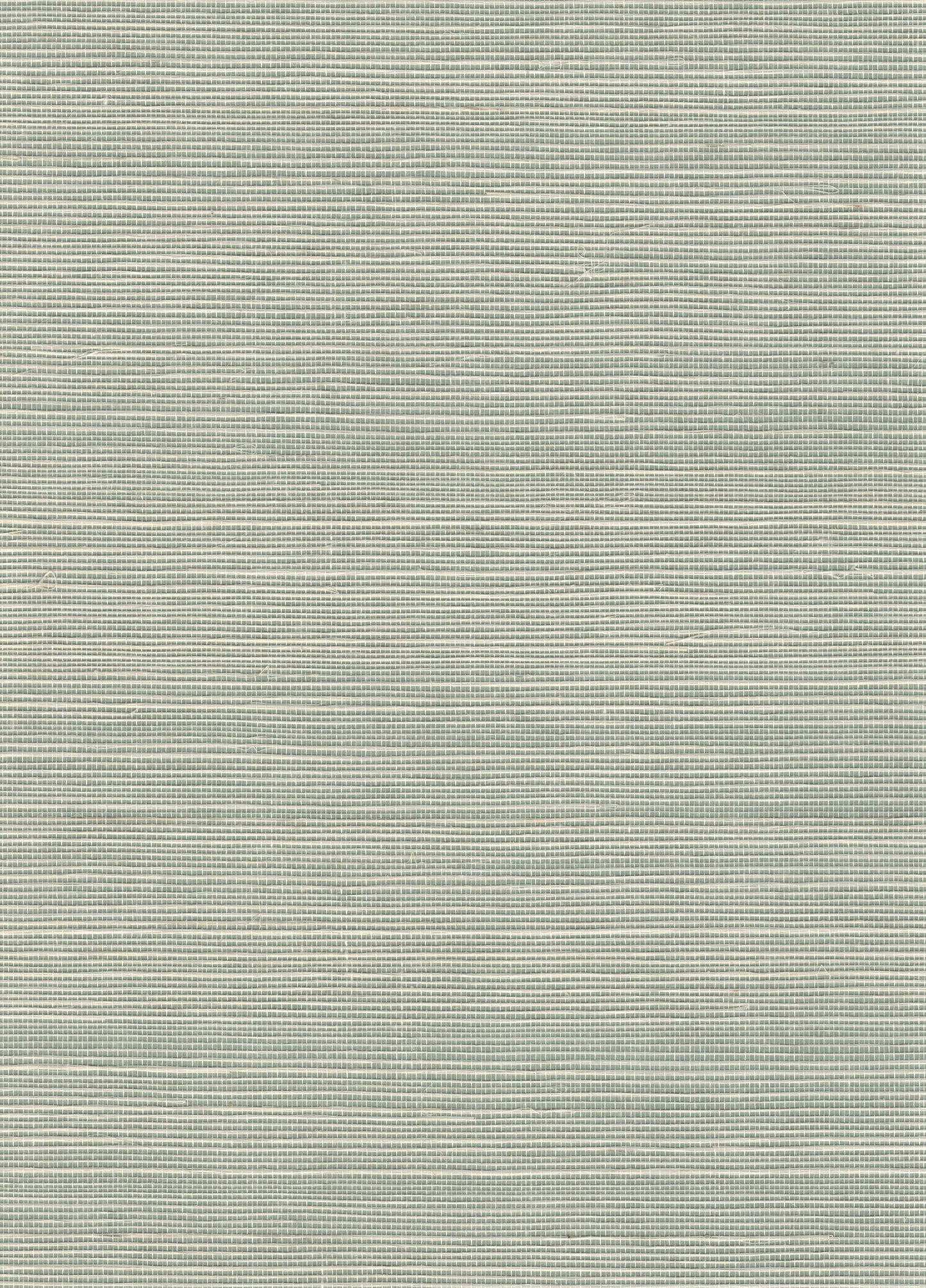 NICHOLASJOHN INC. Natural - Textured Wallcoverings SISAL - NJ25NS1151