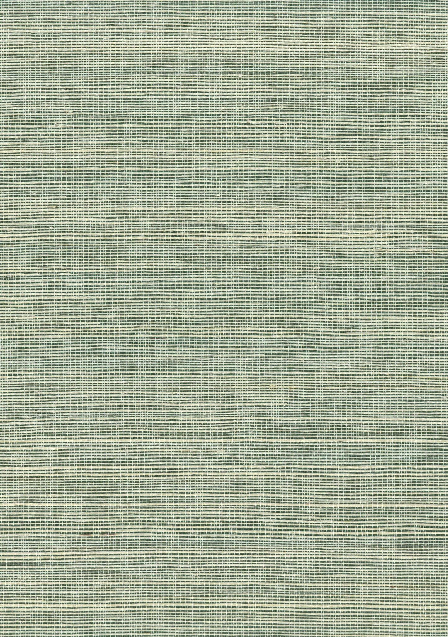 NICHOLASJOHN INC. Natural - Textured Wallcoverings 100% Sisal - NJ25NS1156