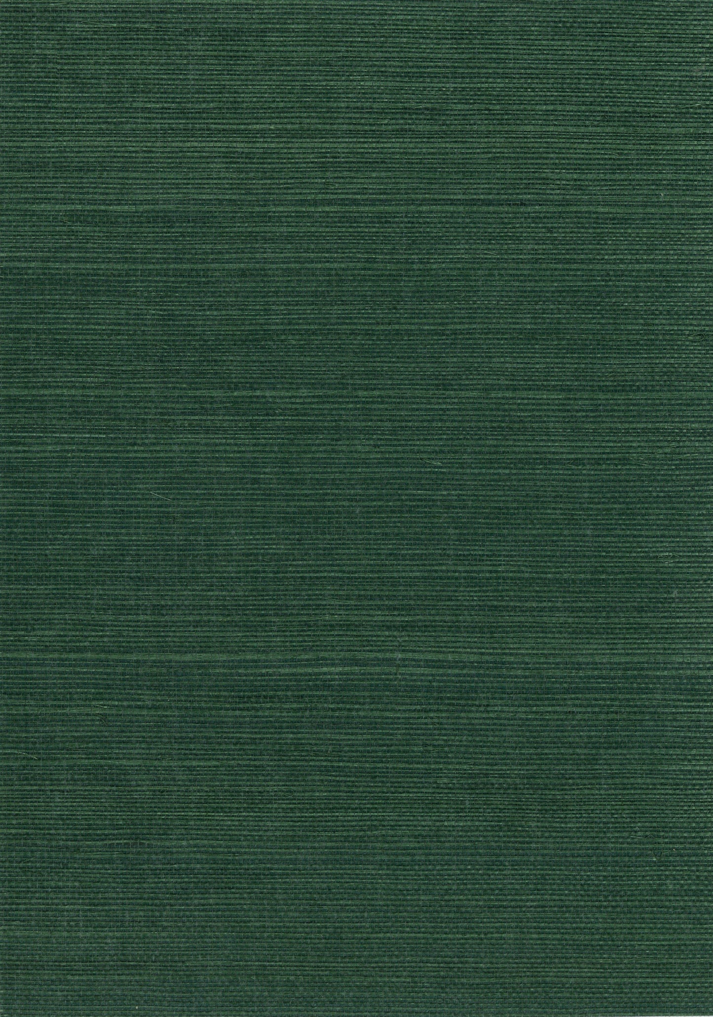 NICHOLASJOHN INC. Natural - Textured Wallcoverings SISAL - NJ25NS1174