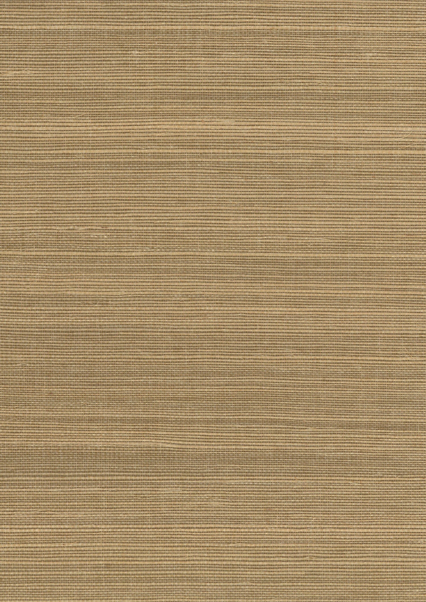 NICHOLASJOHN INC. Natural - Textured Wallcoverings SISAL - NJ25NS1196