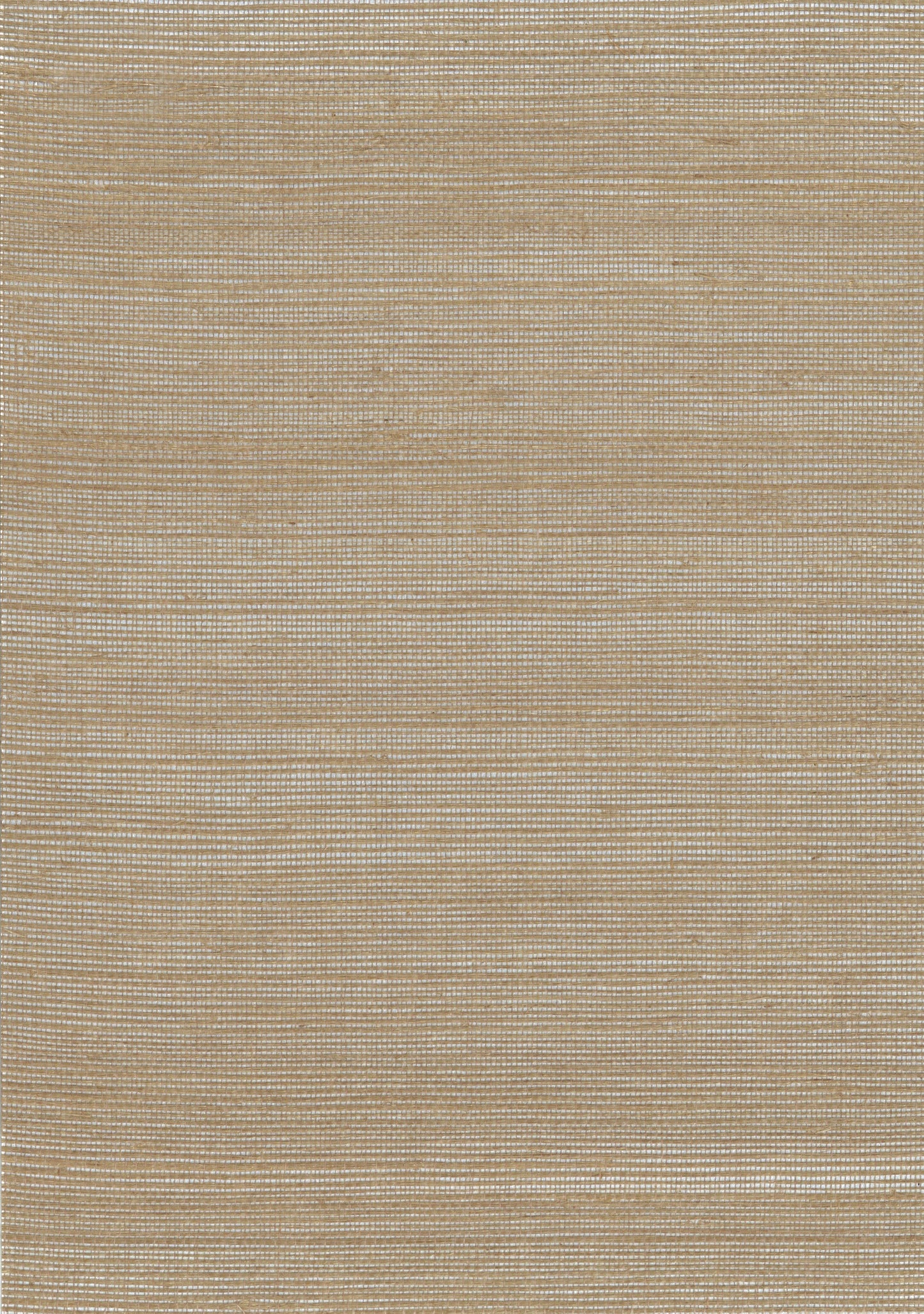 Beige natural-fiber woven rug with subtle horizontal stripes; flat-weave, neutral decor.