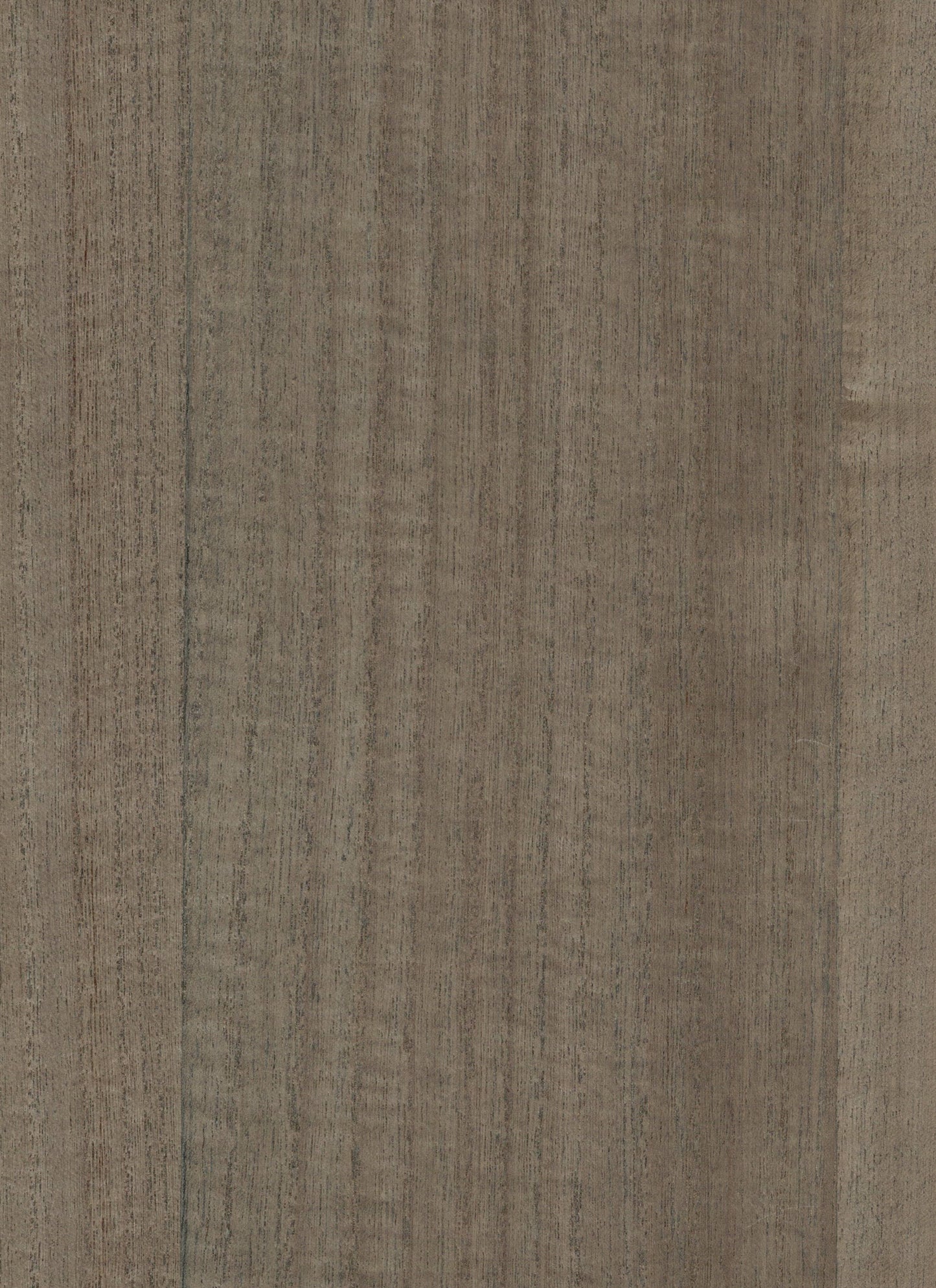 NICHOLASJOHN INC. Natural - Textured Wallcoverings Wood Veneer - NJ25NV1015