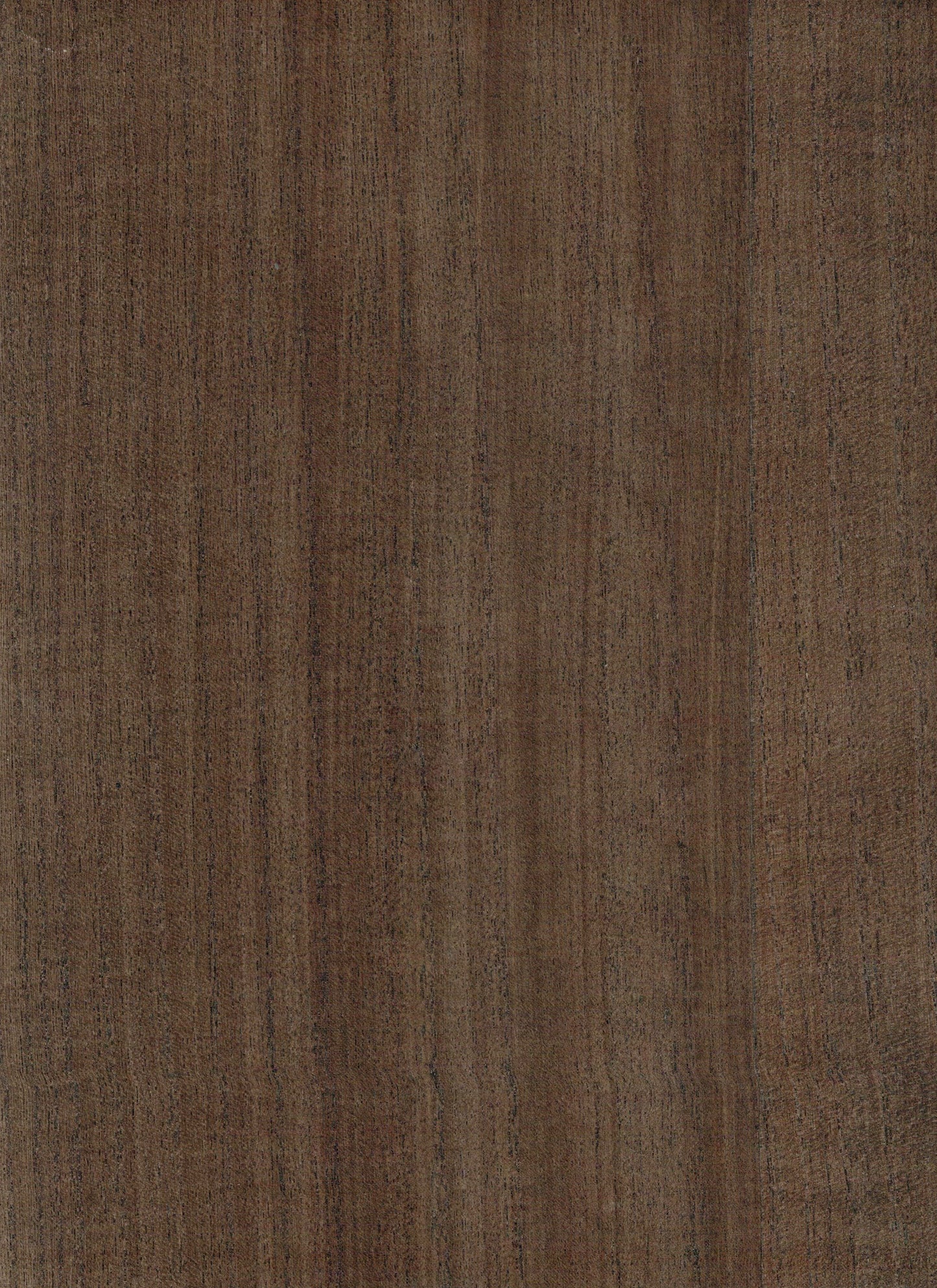 NICHOLASJOHN INC. Natural - Textured Wallcoverings Wood Veneer - NJ25NV1018