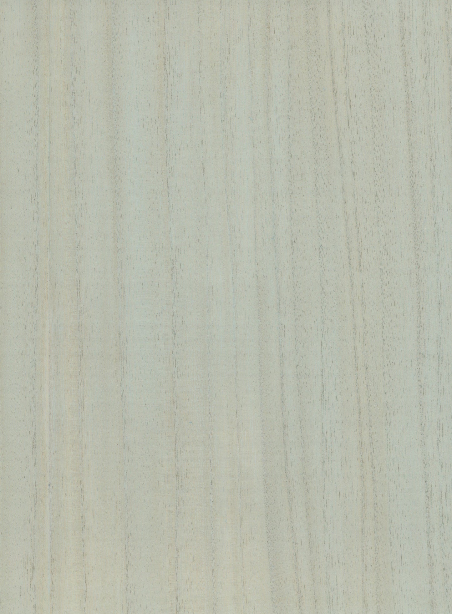 Pale cream wood grain texture with subtle vertical lines, smooth finish for furniture or paneling.