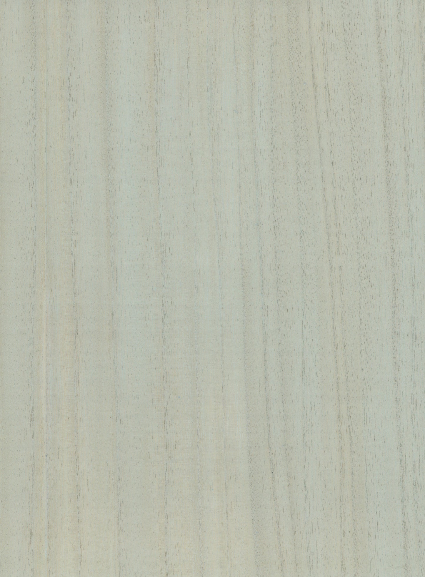 NICHOLASJOHN INC. Natural - Textured Wallcoverings Wood Veneer - NJ25NV1029