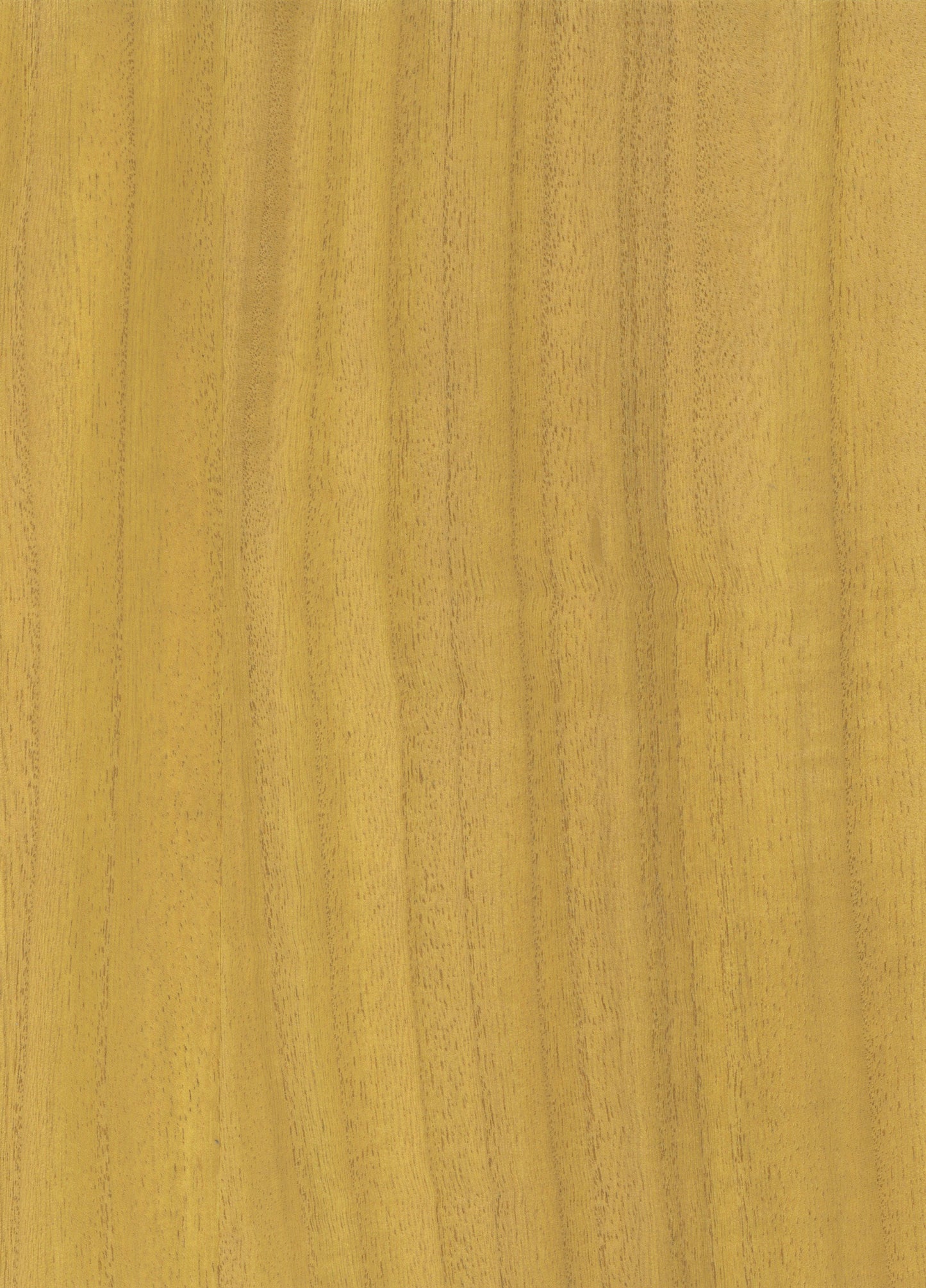 NICHOLASJOHN INC. Natural - Textured Wallcoverings Wood Veneer - NJ25NV1041