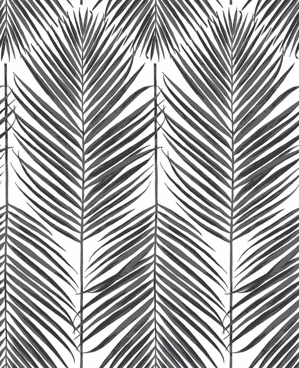 Paradise palm botanical tropical wallpaper, black satin finish, peel & stick NW33000
