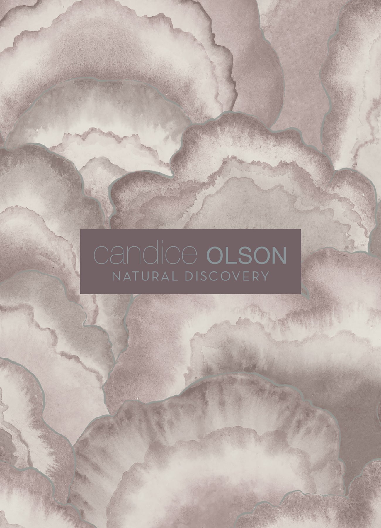 York Wallcoverings Natural Discovery Abalone Lavender Fans Wallpaper Transitional Bohemian Purples - NT6185