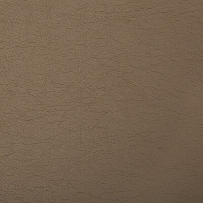 Textured taupe faux leather with a subtle sheen, ideal for upholstery or accessories.
