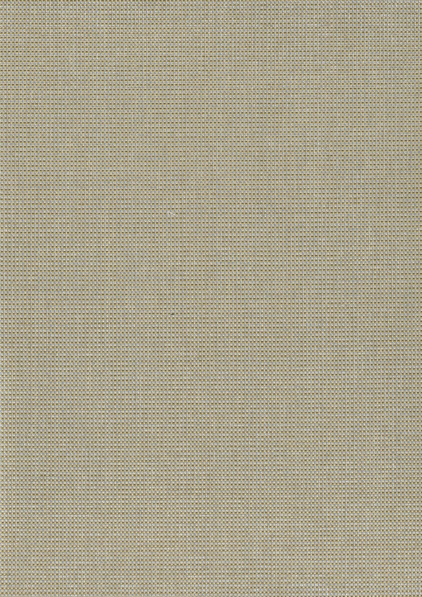 Beige fabric texture with fine dotted weave; canvas-like upholstery or bag material.
