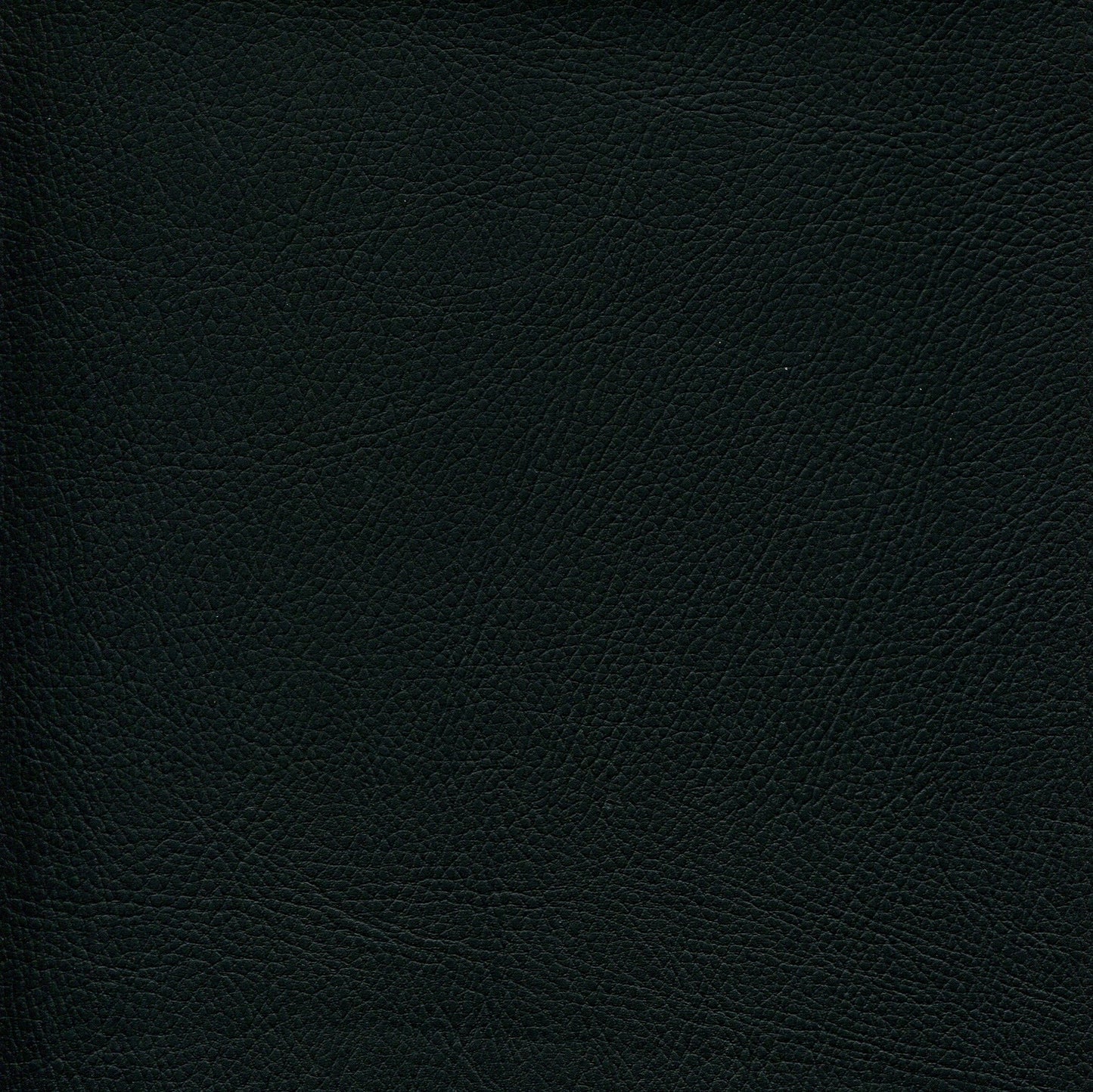 NICHOLASJOHN INC NJ-PHANY Black Non Perf Fabric - NJ25-2613