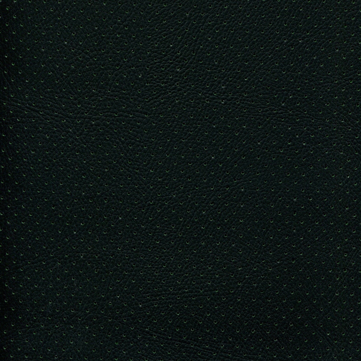 NICHOLASJOHN INC NJ-PHANY Black/Turf Perf Fabric - NJ25-2619