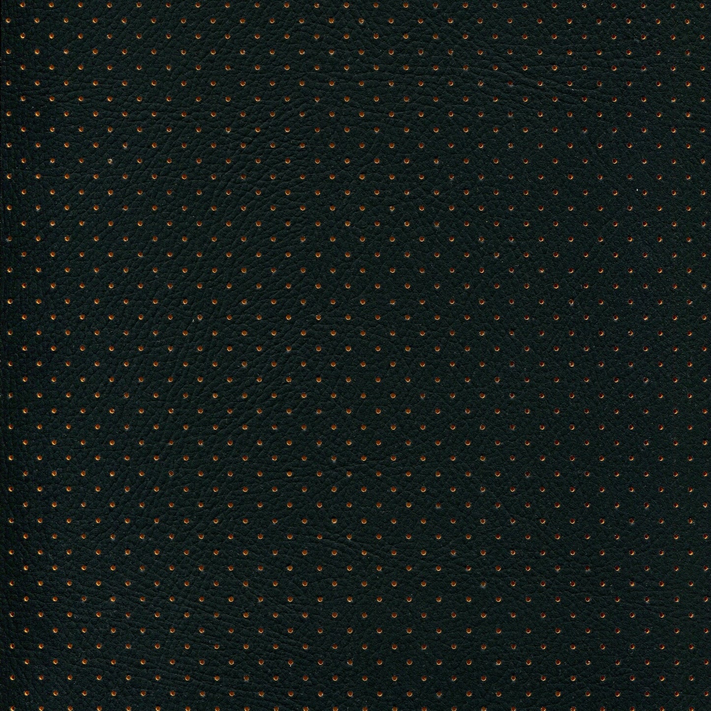 NICHOLASJOHN INC NJ-PHANY Black/Orange Perf Fabric - NJ25-2620